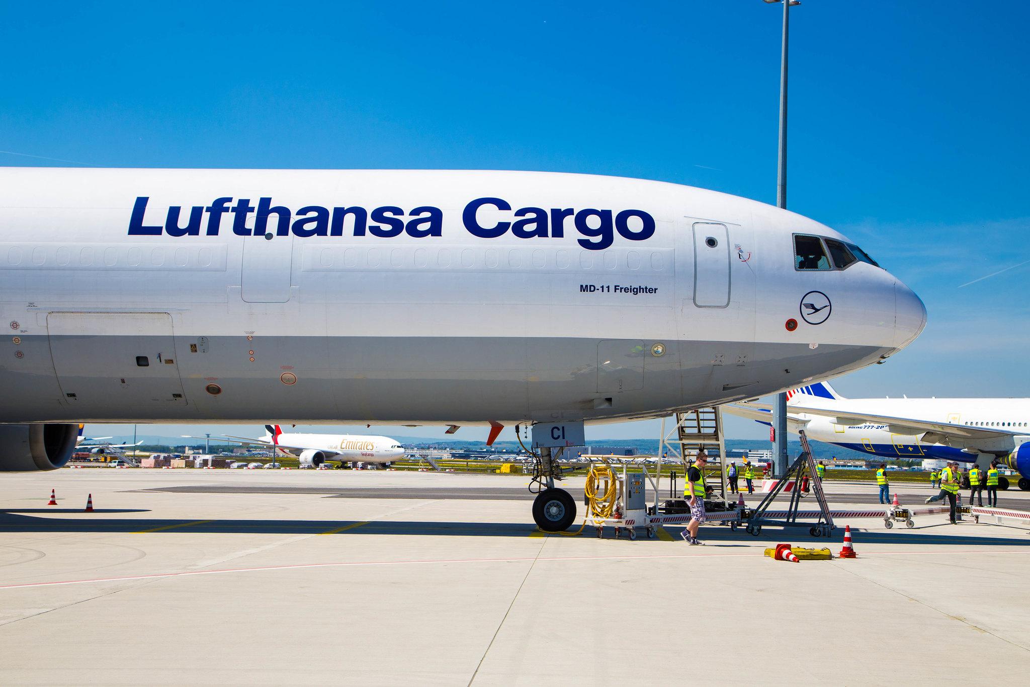 Frankfurt Airport: Lufthansa Cargo (/ GEC) |  McDonnell Douglas MD-11F MD11 | D-ALCI | MSN 48800