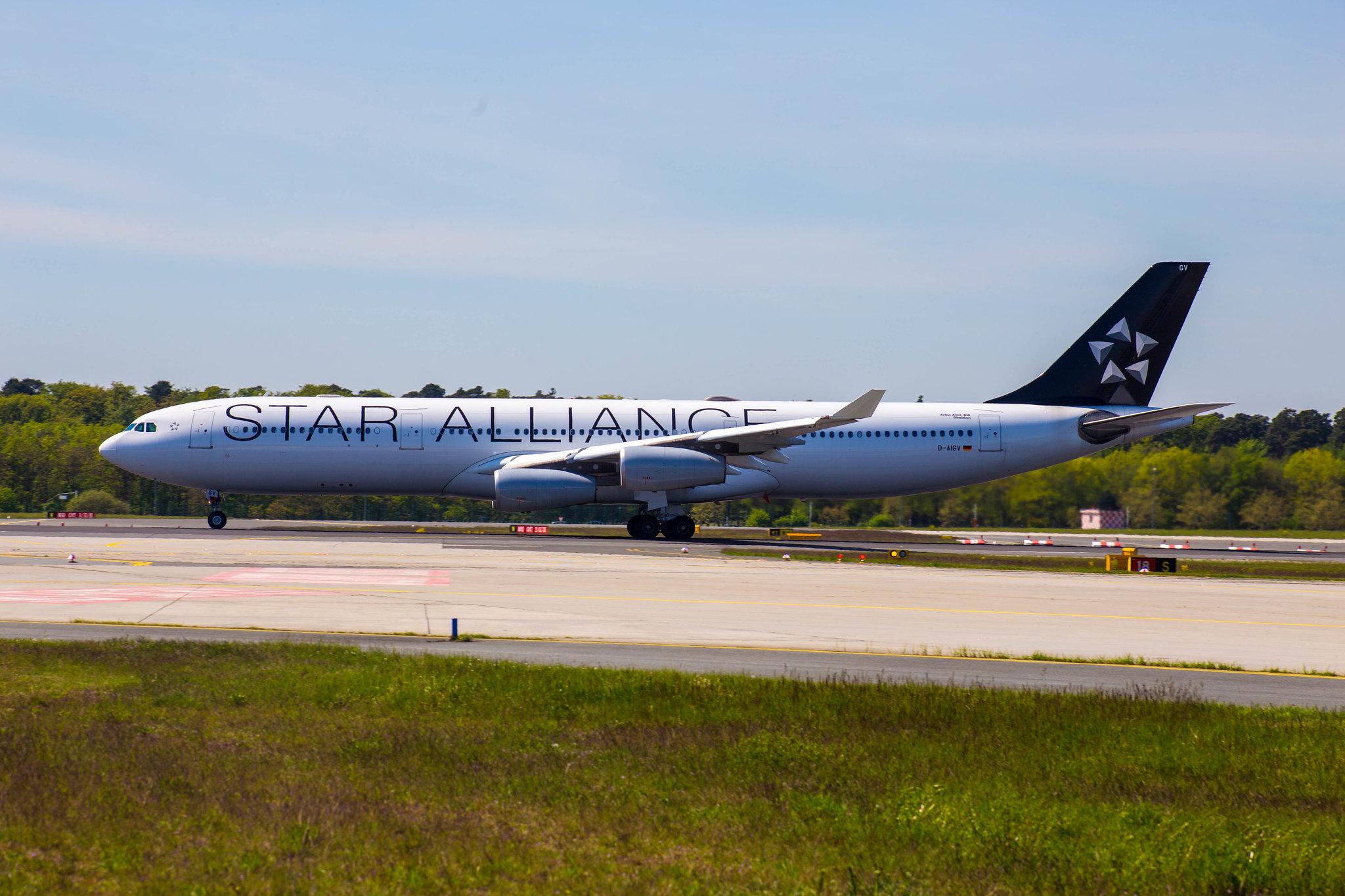 Frankfurt Airport: Lufthansa (LH / DLH) |  Livery: Star Alliance Livery |  Airbus A340-313 A343 | D-AIGV | MSN 0325