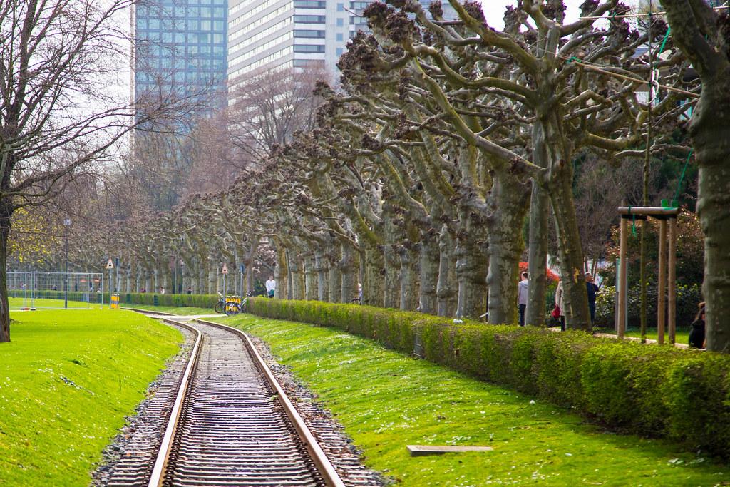 Frankfurt am Main: Gleise am Main Ufer