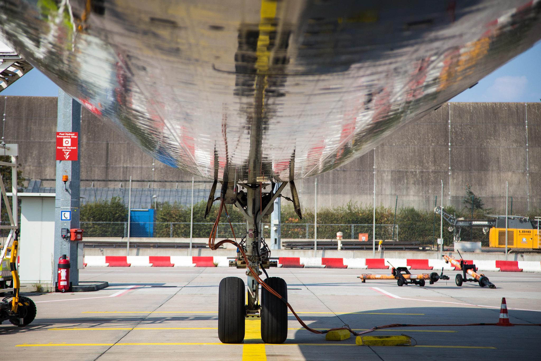 Frankfurt Airport: Lufthansa Cargo (/ GEC) |  McDonnell Douglas MD-11F MD11 | D-ALCH | MSN 48801
