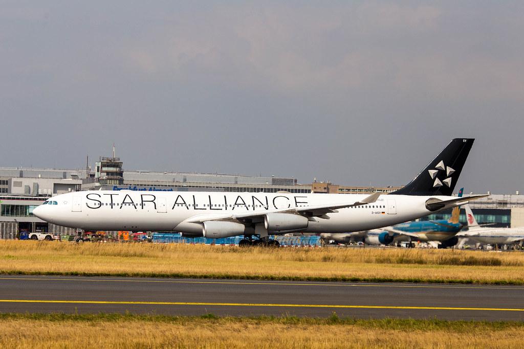 Spottertour am FRA: Lufthansa CityLine Airbus A340-313 (Star Alliance Livery) D-AIGV