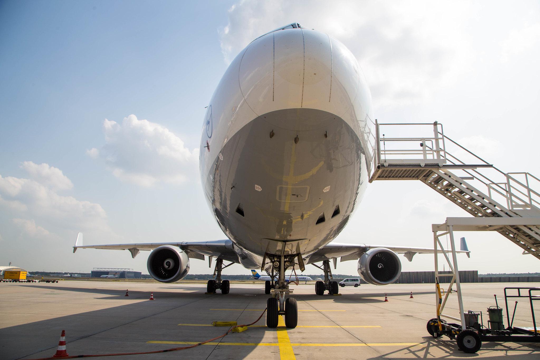 Frankfurt Airport: Lufthansa Cargo (/ GEC) |  McDonnell Douglas MD-11F MD11 | D-ALCH | MSN 48801