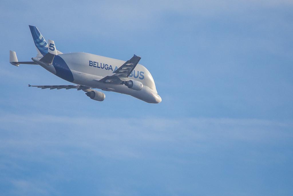 Hamburg Airport: Airbus Transport International Airbus A300-608ST Beluga A3ST F-GSTF