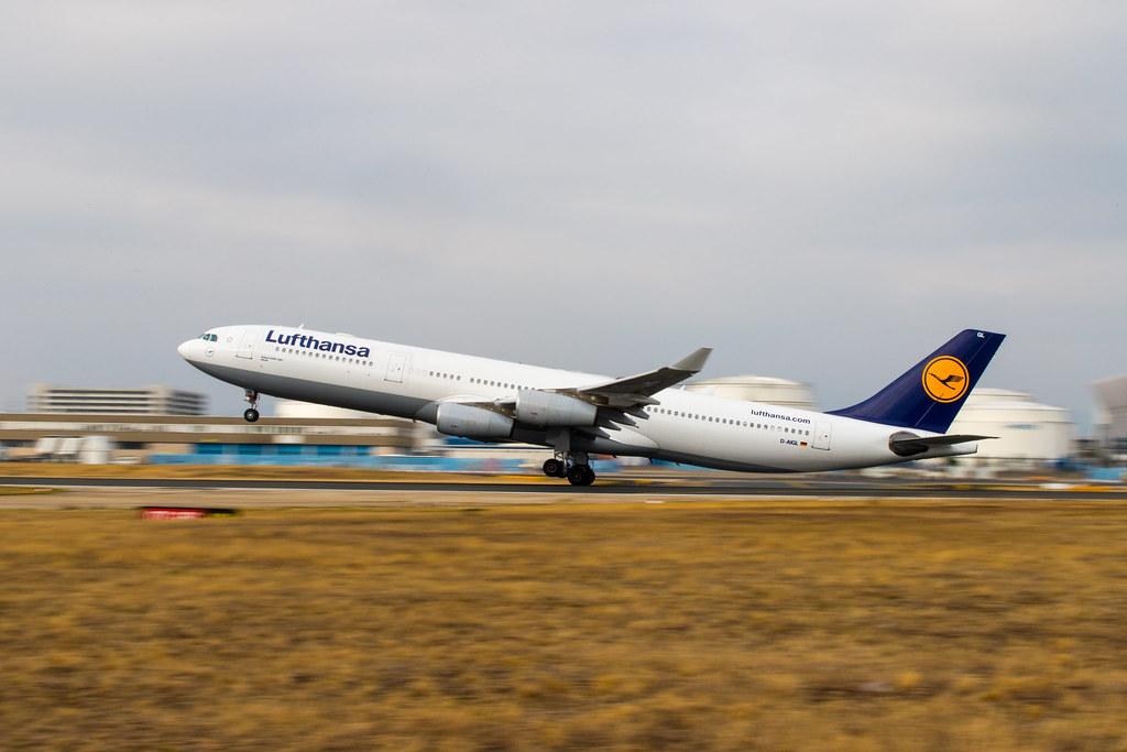 Frankfurt Airport: Lufthansa (LH / DLH) |  Airbus A340-313 A343 | D-AIGL | MSN 0135