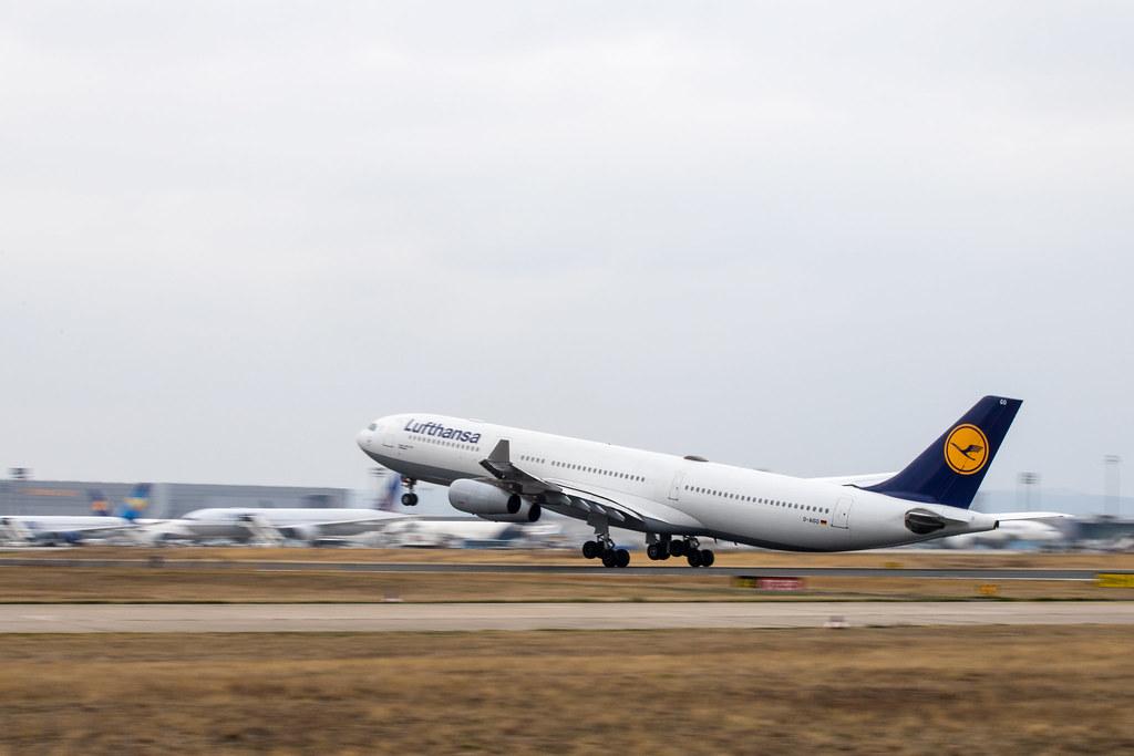 Frankfurt Airport: Lufthansa (LH / DLH) |  Airbus A340-313 A343 | D-AIGO | MSN 0233