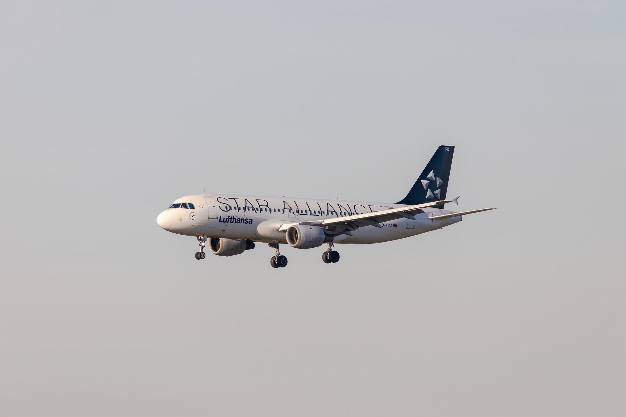 Hamburg Airport: Lufthansa (LH / DLH) | Livery: Star Alliance Livery |  Airbus A320-211 A320 | D-AIPD | MSN 0072
