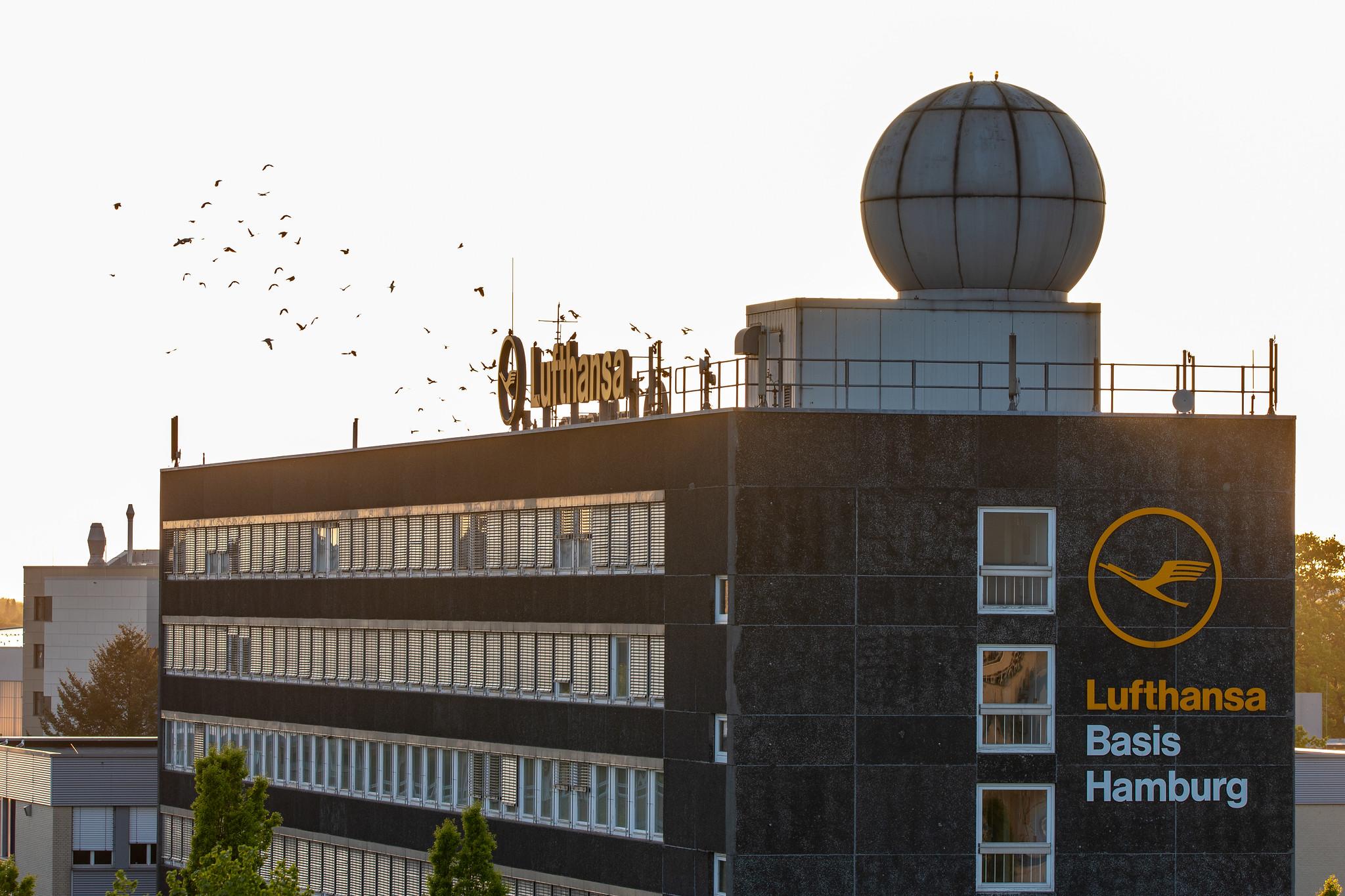 Hamburg Airport: Lufthansa Basis Hamburg |