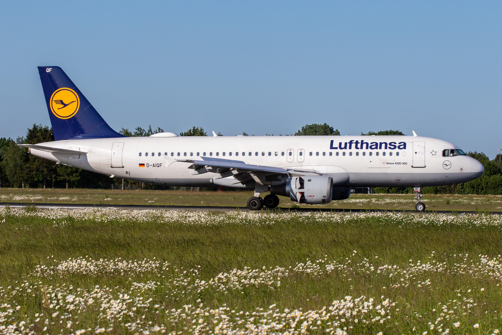 Hamburg Airport: Lufthansa (LH / DLH) |  Airbus A320-211 A320 | D-AIQF | MSN 0216