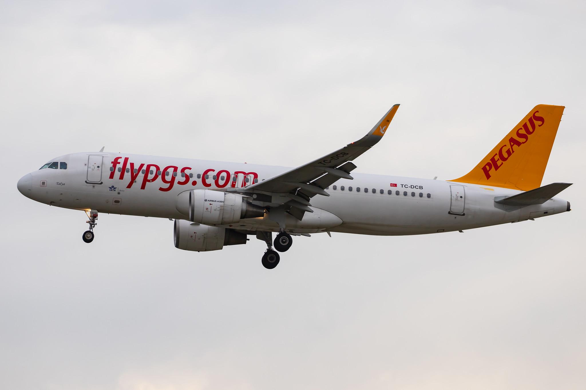 Frankfurt Airport: Pegasus Airlines (PC / PGT) |  Airbus A320-214 A320 | TC-DCB | MSN 5902