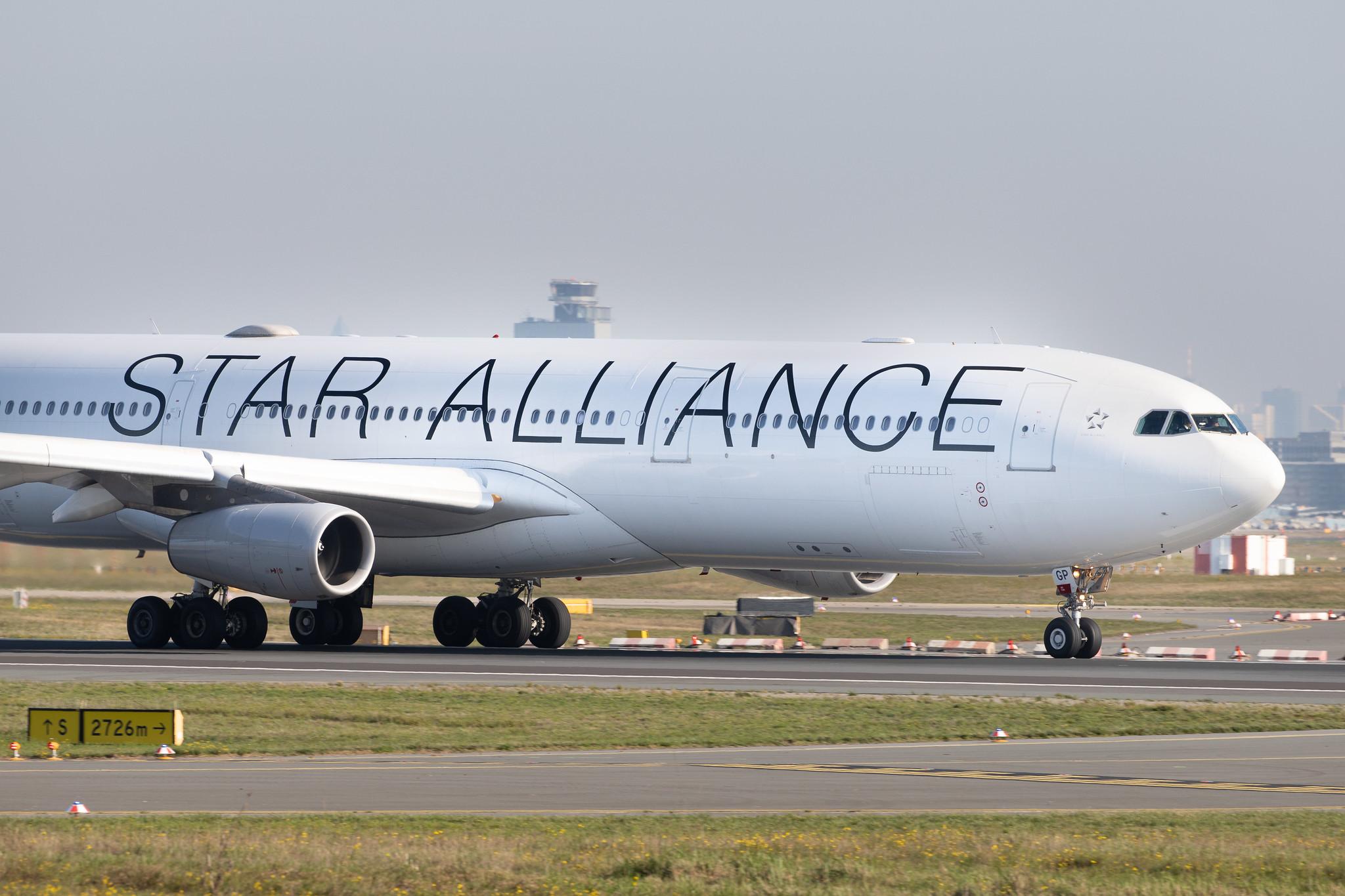 Frankfurt Airport: Lufthansa (LH / DLH) |  Livery: Star Alliance Livery | Operator: Lufthansa CityLine |  Airbus A340-313 A343 | D-AIGP | MSN 0252