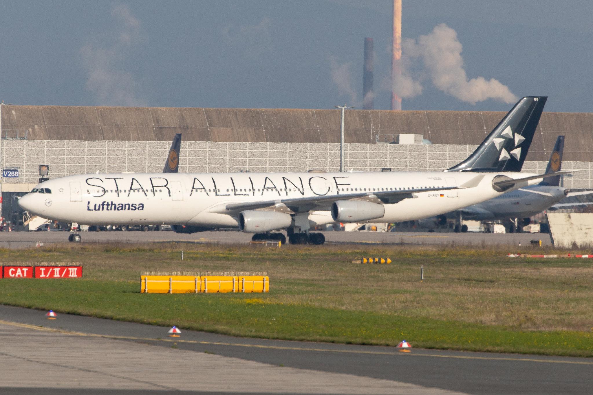 Frankfurt Airport: Lufthansa (LH / DLH) |  Livery: Star Alliance Livery |  Airbus A340-313 A343 | D-AIGV | MSN 0325