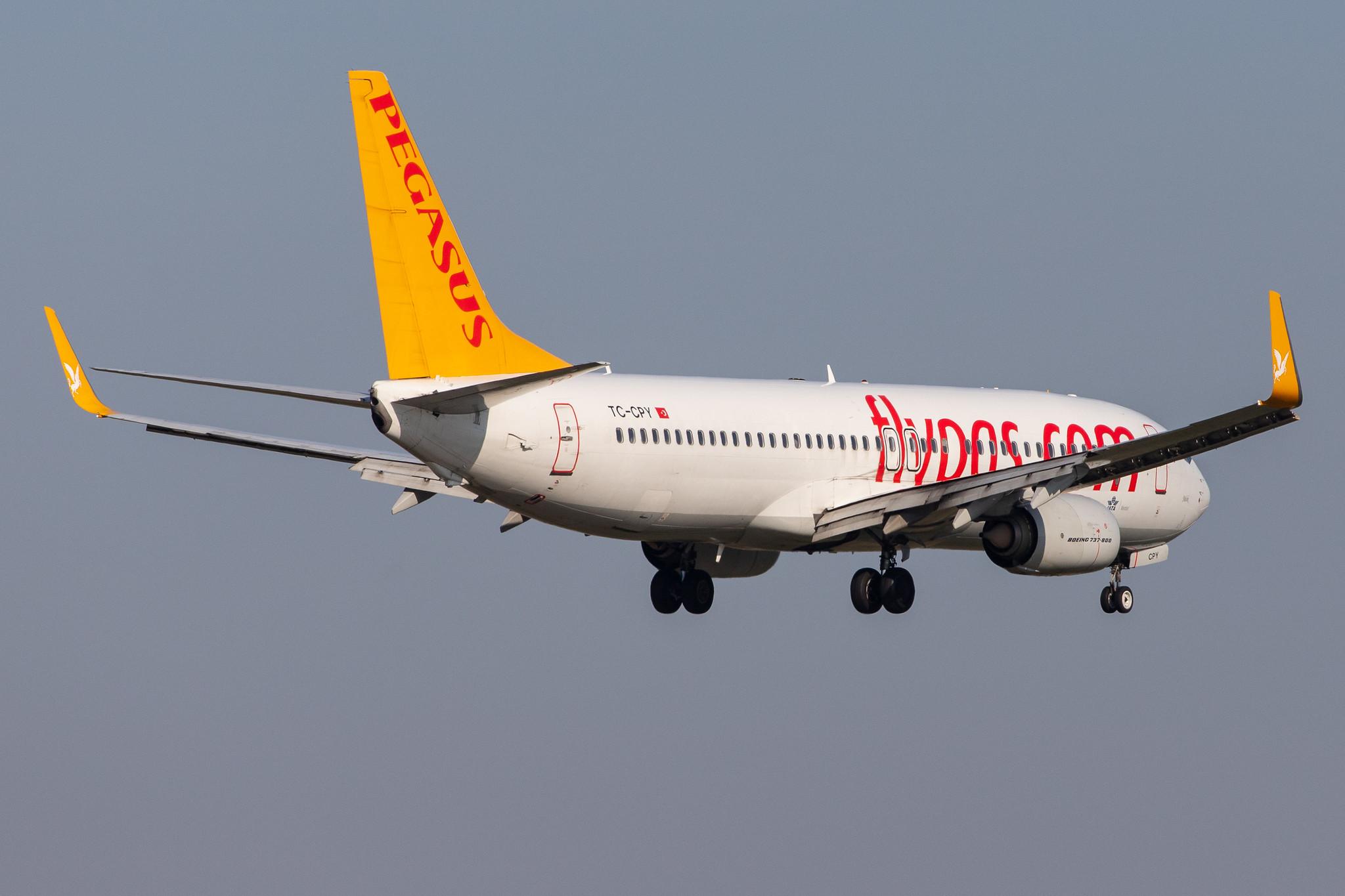 Frankfurt Airport: Pegasus Airlines (PC / PGT) |  Boeing 737-8H6 B738 | TC-CPY | MSN 41767