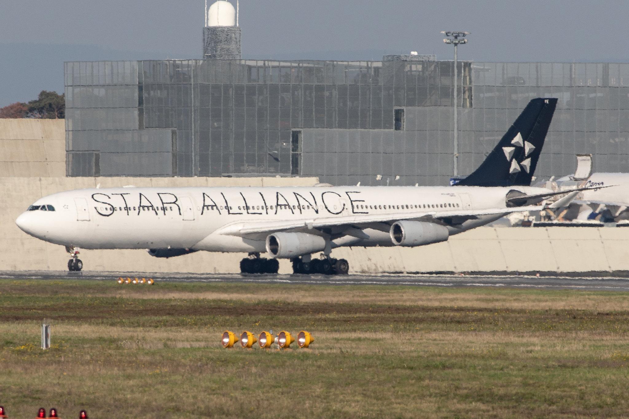 Frankfurt Airport: Lufthansa (LH / DLH) |  Livery: Star Alliance Livery | Operator: Lufthansa CityLine |  Airbus A340-313 A343 | D-AIFE | MSN 0434