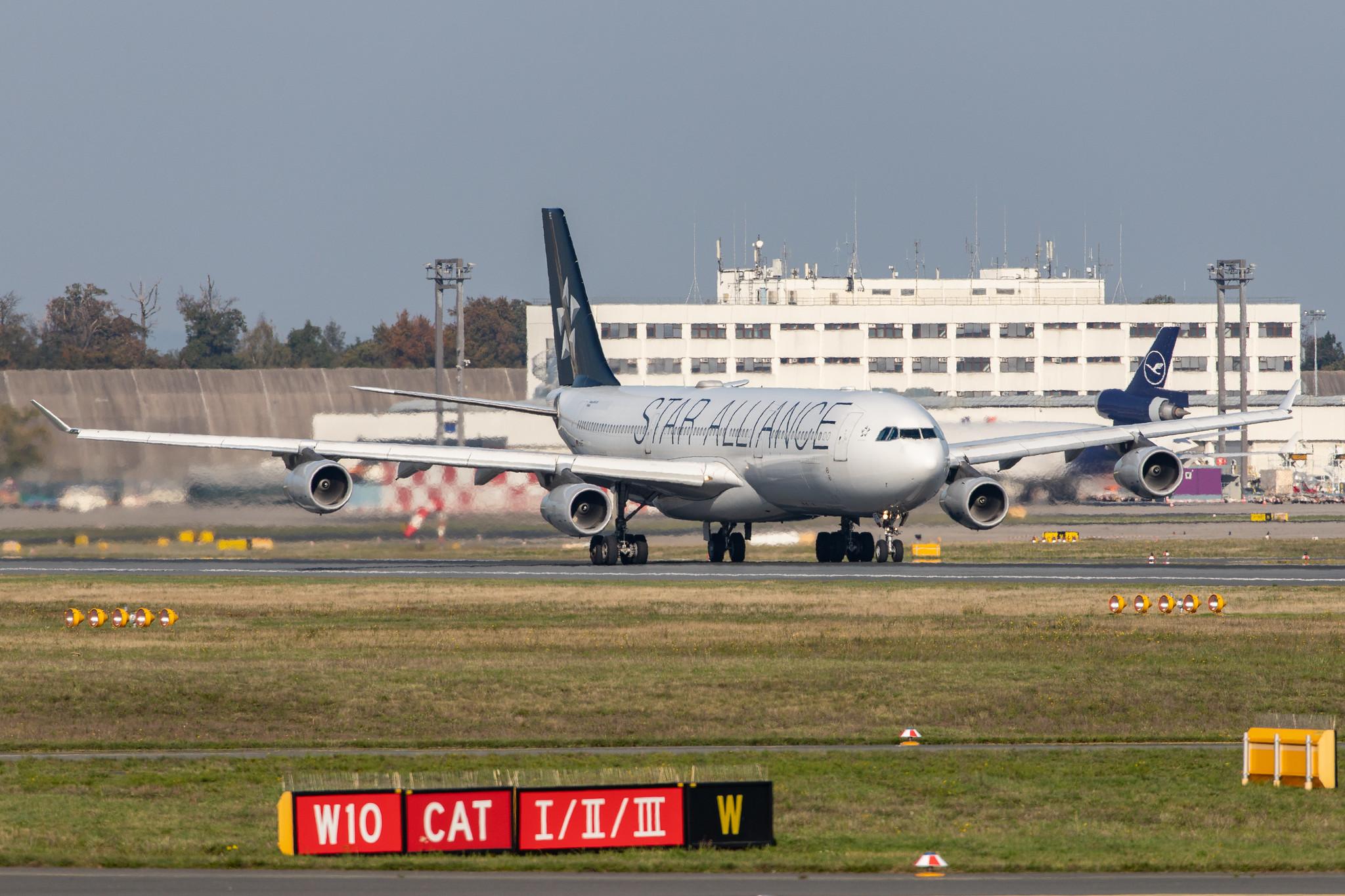 Frankfurt Airport: Lufthansa (LH / DLH) |  Livery: Star Alliance Livery | Operator: Lufthansa CityLine |  Airbus A340-313 A343 | D-AIFE | MSN 0434