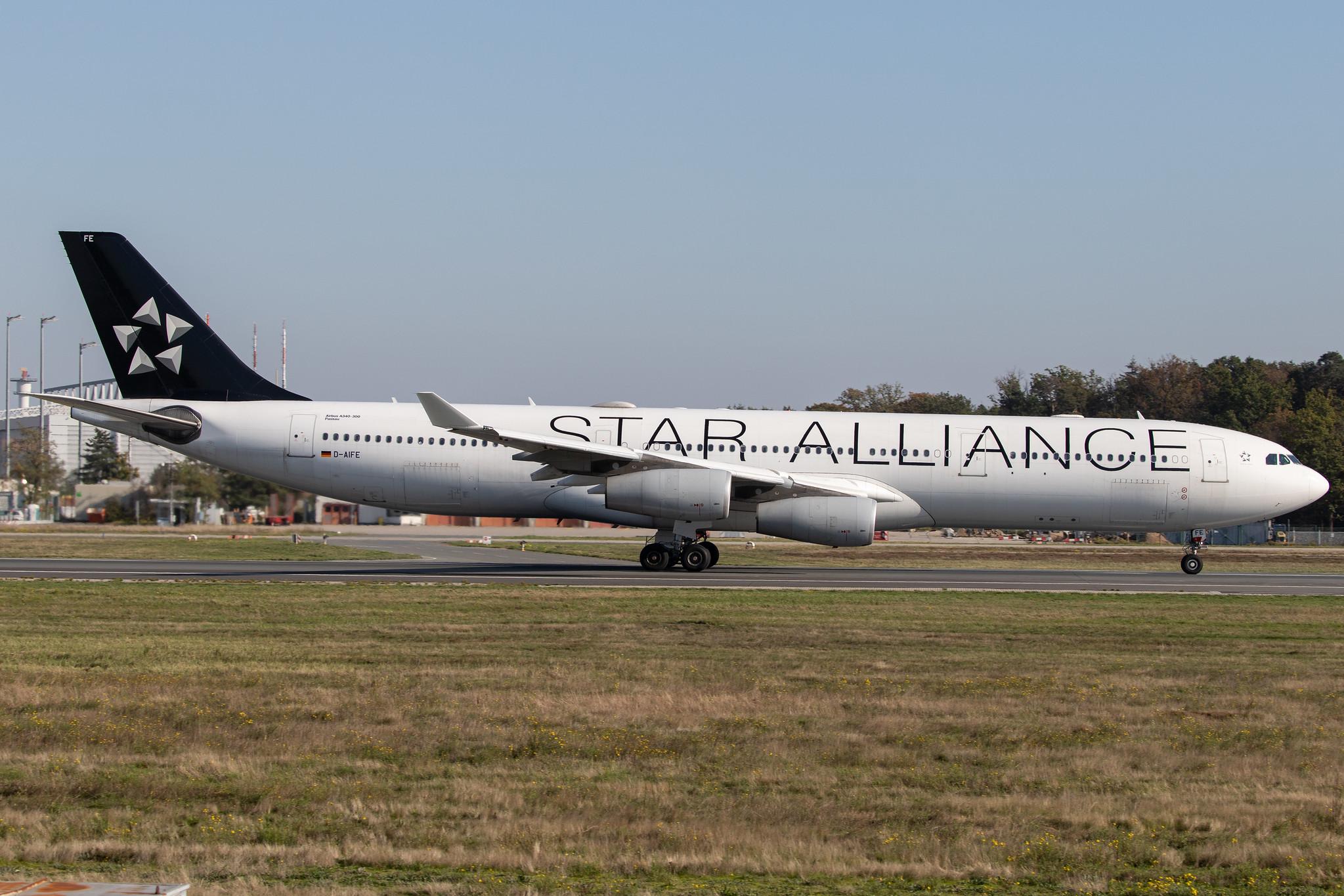 Frankfurt Airport: Lufthansa (LH / DLH) |  Livery: Star Alliance Livery | Operator: Lufthansa CityLine |  Airbus A340-313 A343 | D-AIFE | MSN 0434