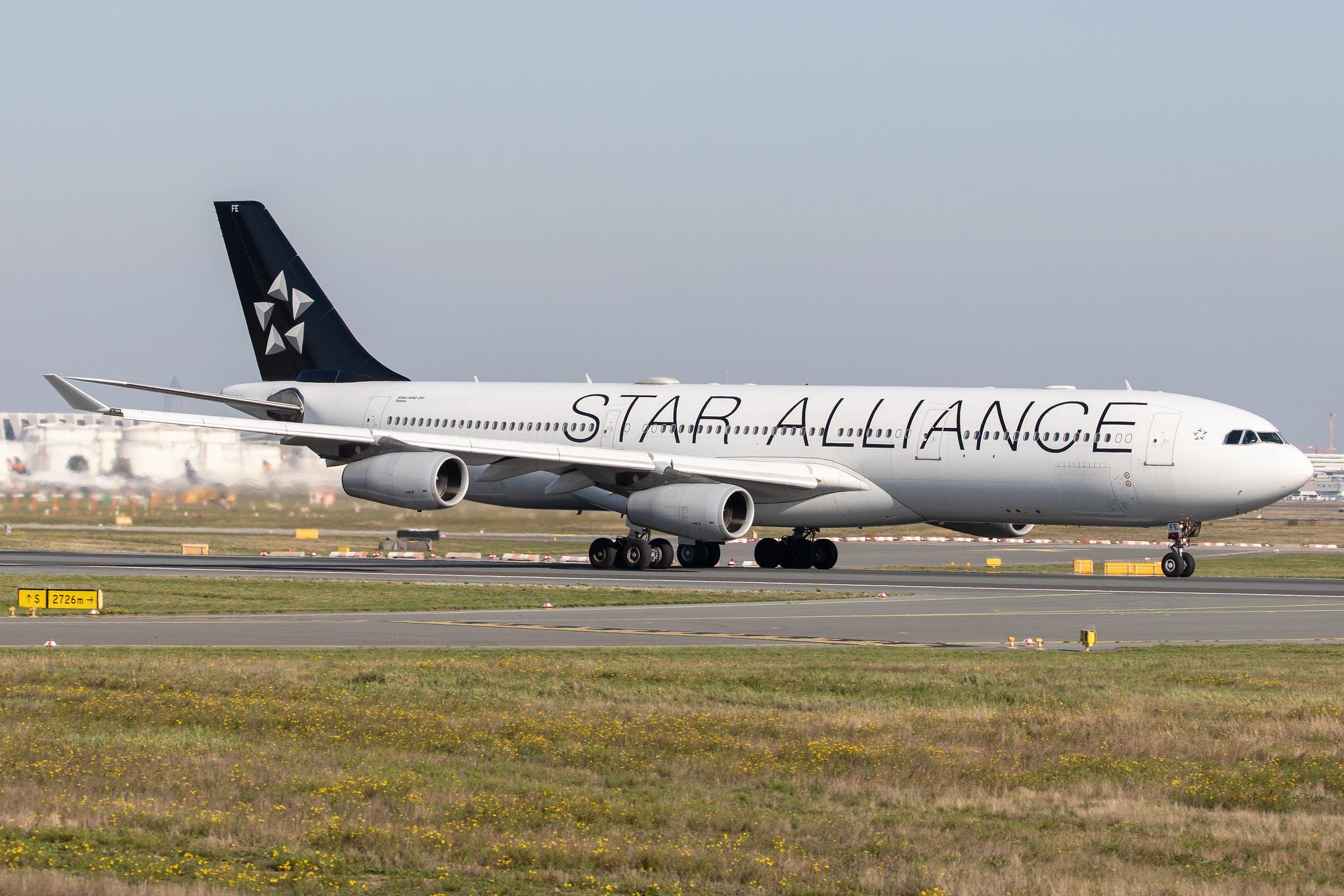 Frankfurt Airport: Lufthansa (LH / DLH) |  Livery: Star Alliance Livery | Operator: Lufthansa CityLine |  Airbus A340-313 A343 | D-AIFE | MSN 0434