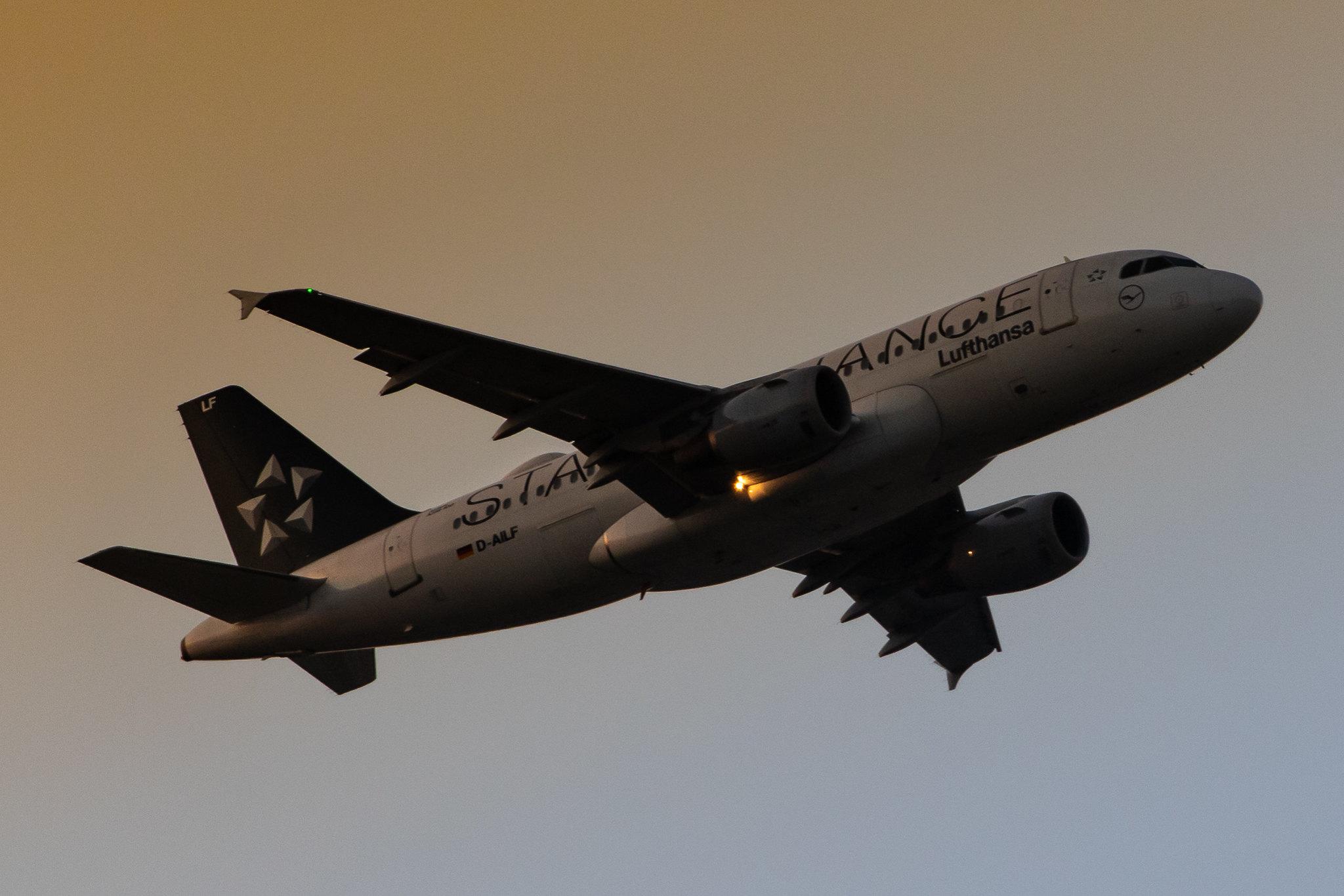 Frankfurt Airport: Lufthansa (LH / DLH) |  Livery: Star Alliance Livery |  Airbus A319-114 A319 | D-AILF | MSN 0636