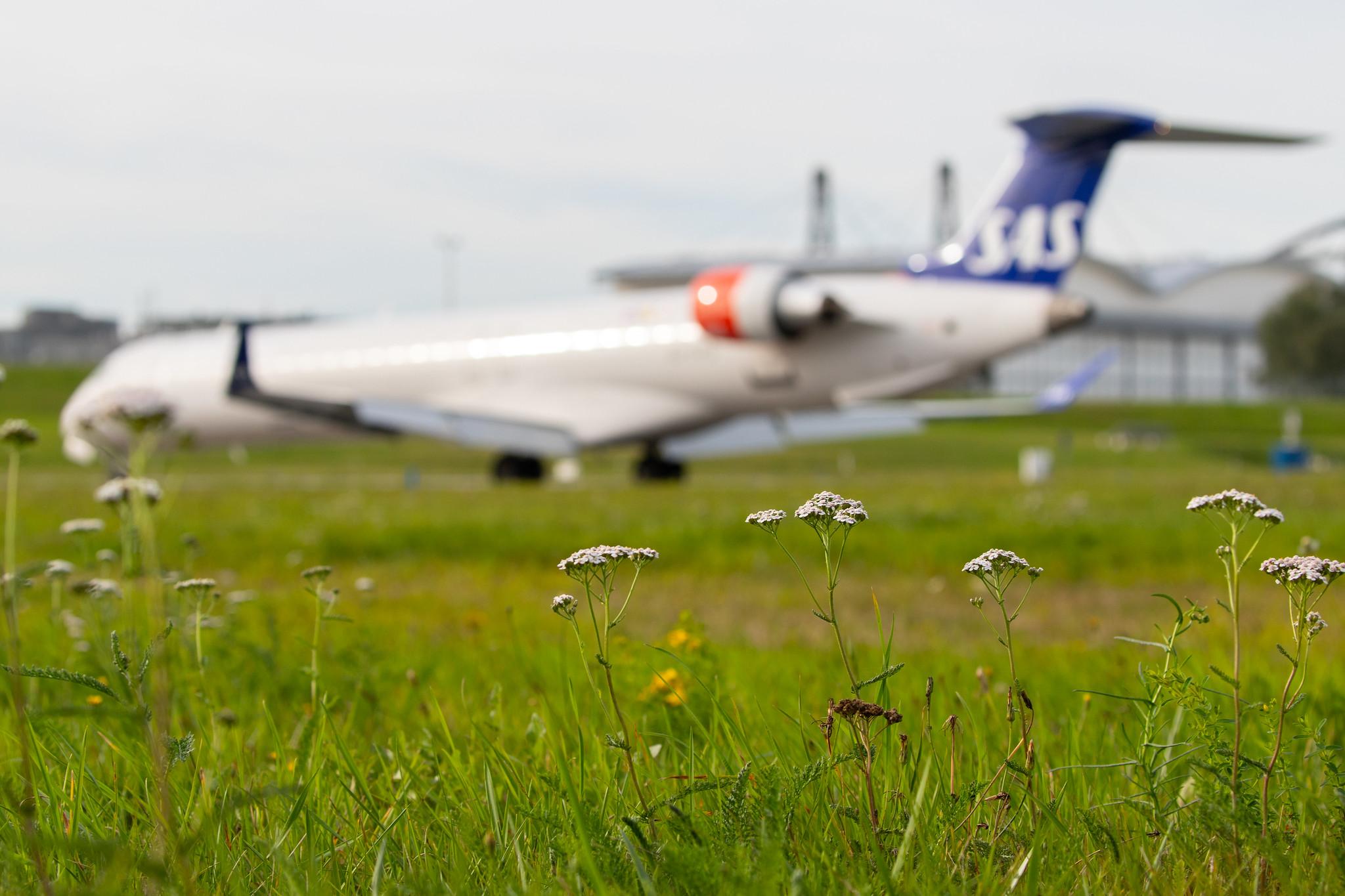 Hamburg Airport: SAS (SK / SAS) | Operator: Cityjet |  Bombardier CRJ-900LR CRJ9 | EI-FPD | MSN 15401