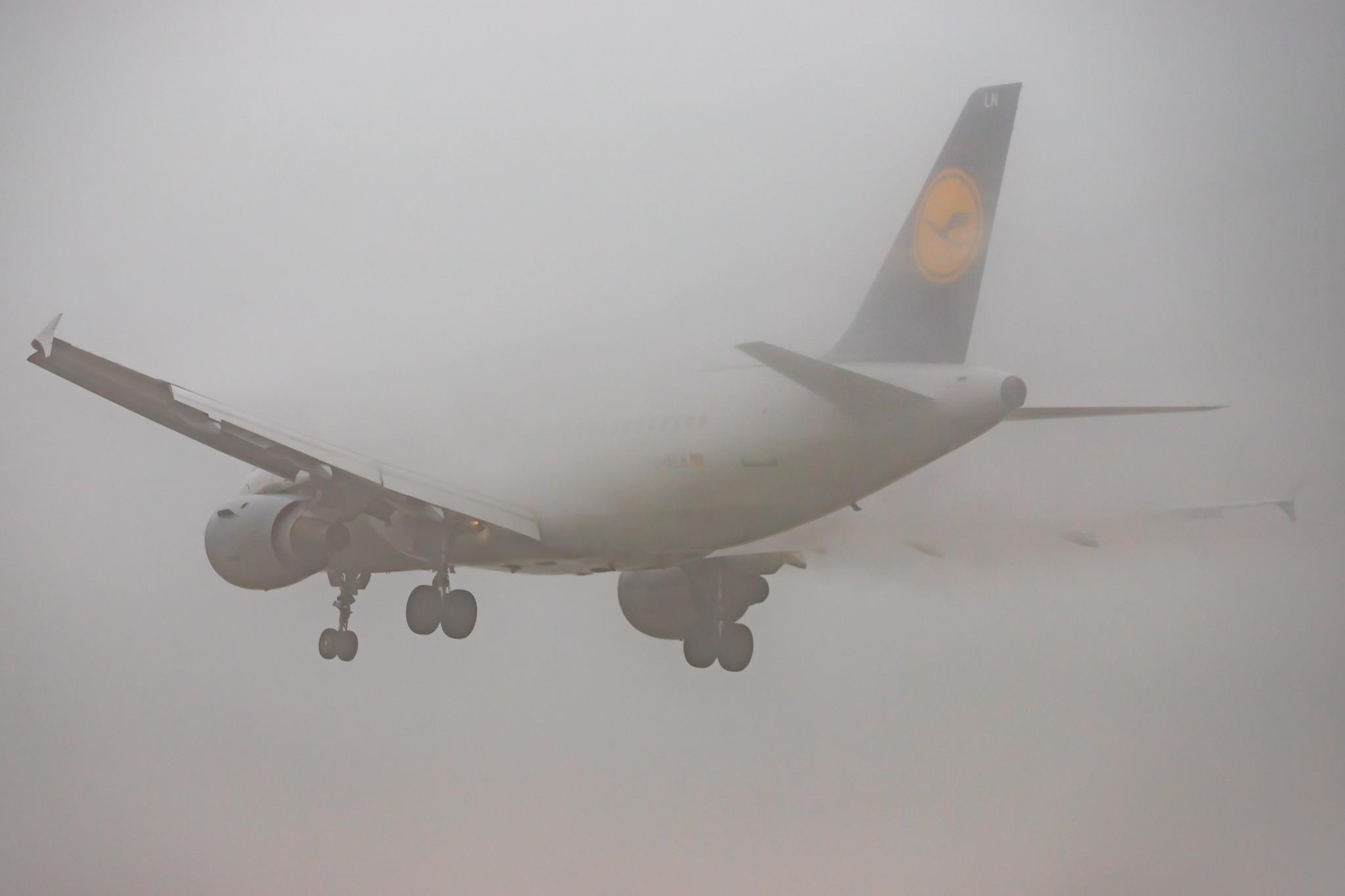 Frankfurt Airport: Lufthansa (LH / DLH) |  Airbus A319-114 A319 | D-AILN | MSN 0700