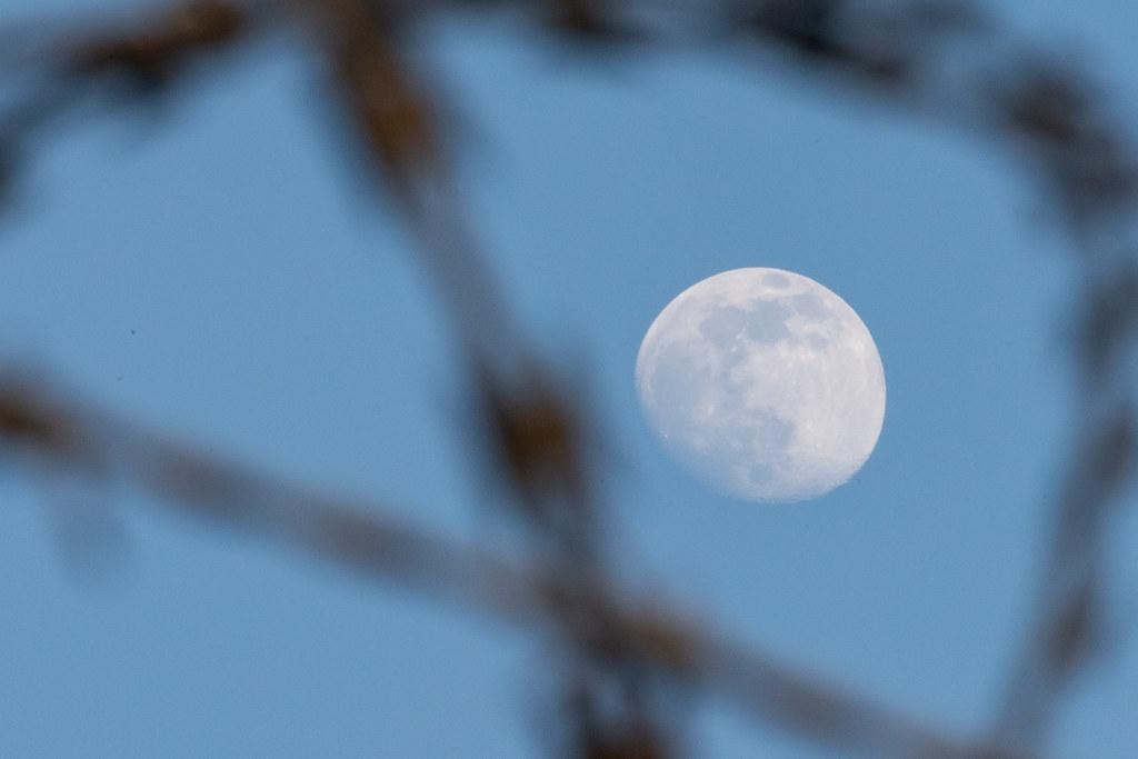 Hamburg Airport: Mond |