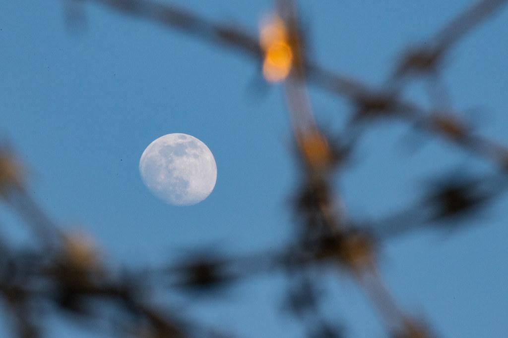 Hamburg Airport: Mond |