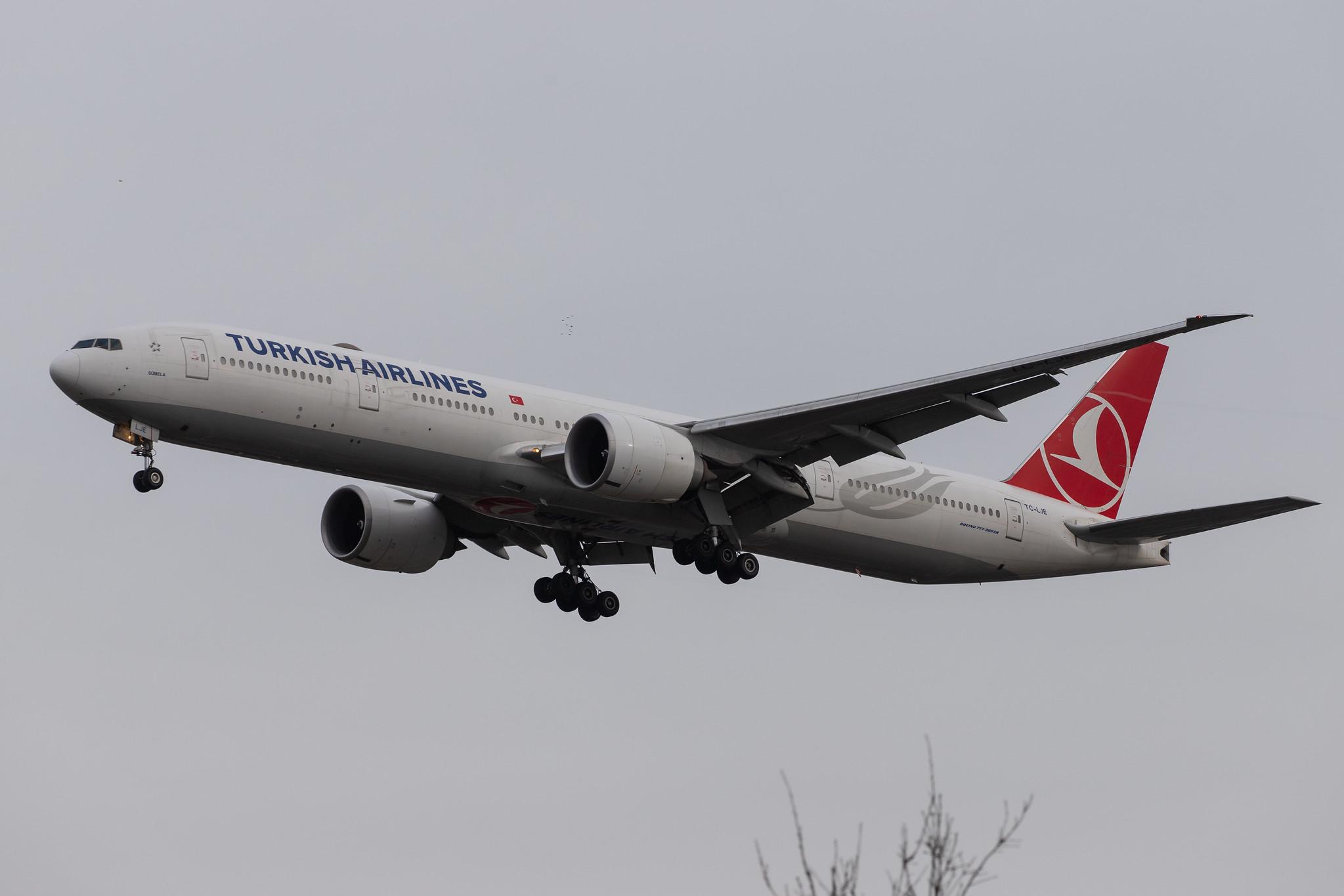 London Heathrow Airport: Turkish Airlines (TK / THY) |  Boeing 777-3F2(ER) B77W | TC-LJE | MSN 44126