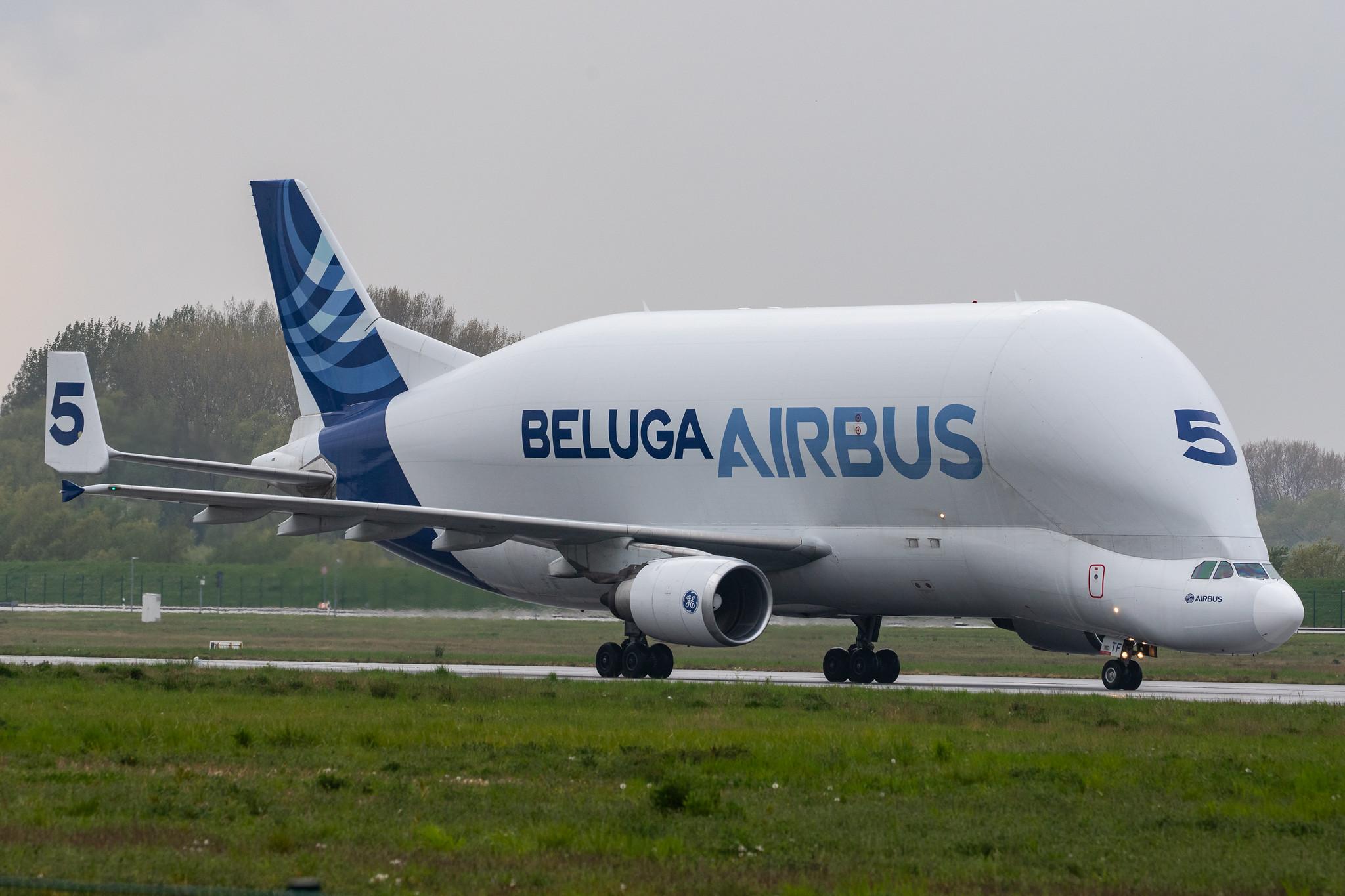 Flugplatz Hamburg-Finkenwerder: Airbus Transport International (4Y / BGA) |  Airbus A300-608ST Beluga A3ST | F-GSTF | MSN 796