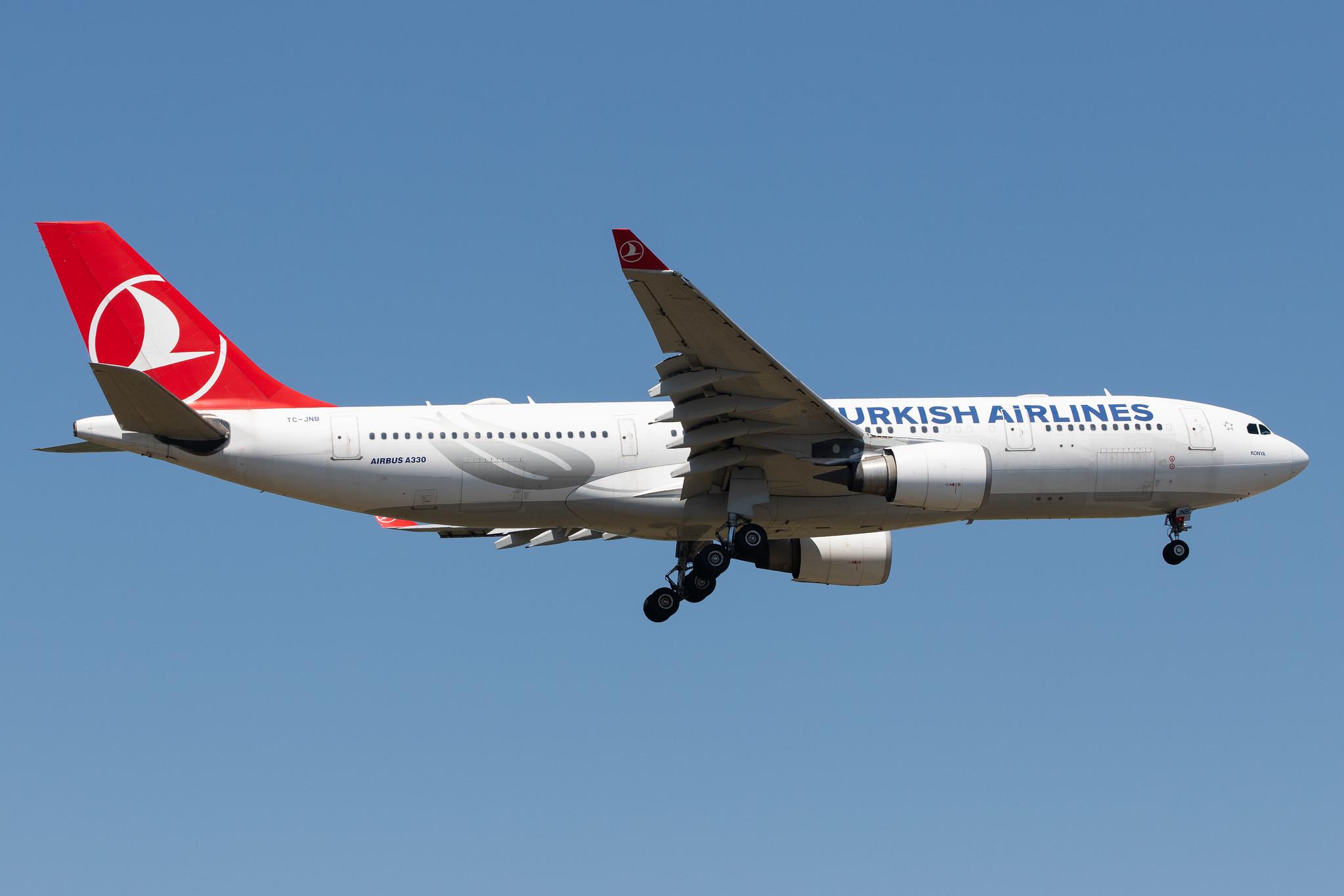 Frankfurt Airport: Turkish Airlines (TK / THY) |  Airbus A330-203 A332 | TC-JNB | MSN 0704