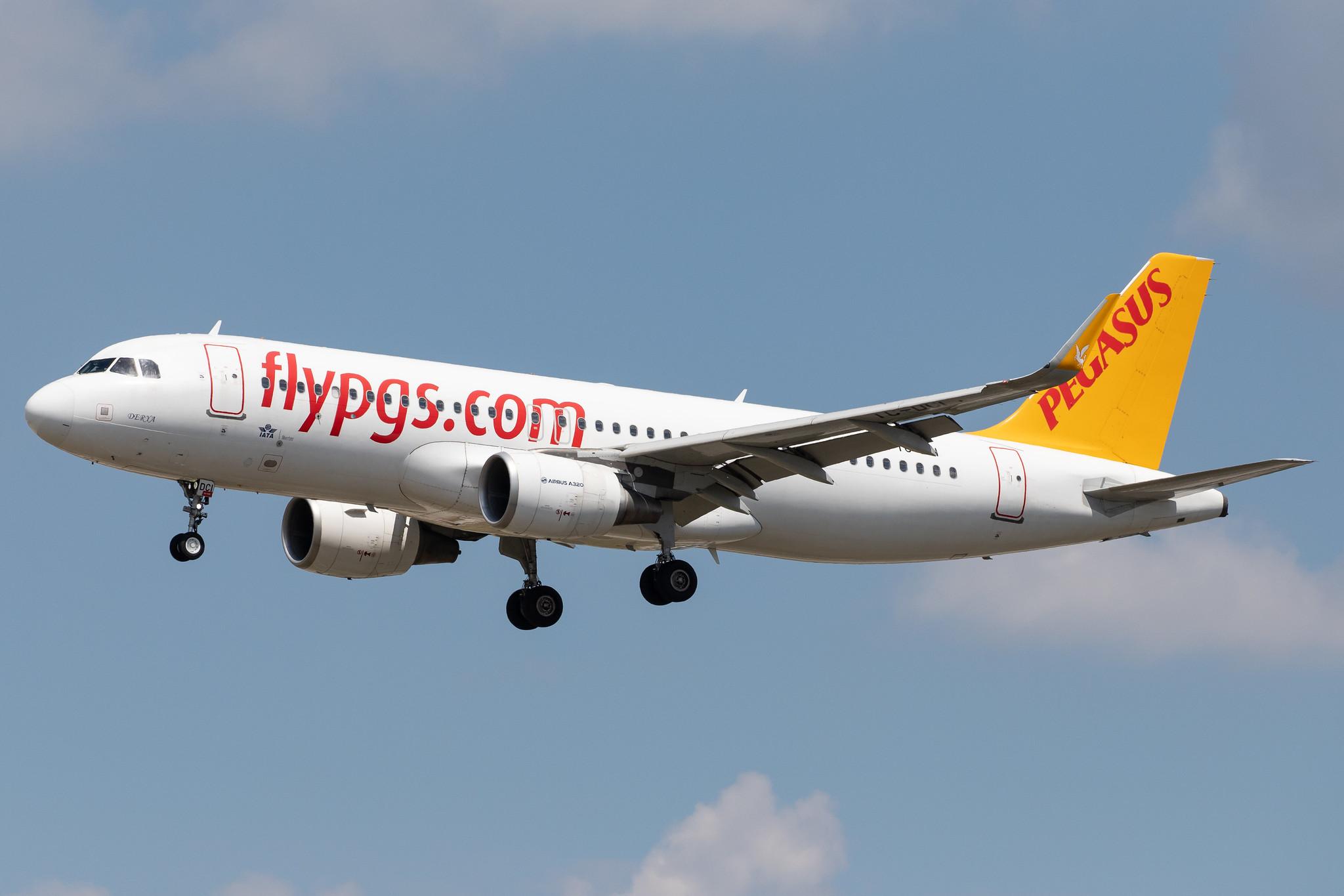 Frankfurt Airport: Pegasus Airlines (PC / PGT) |  Airbus A320-216 A320 | TC-DCI | MSN 6666