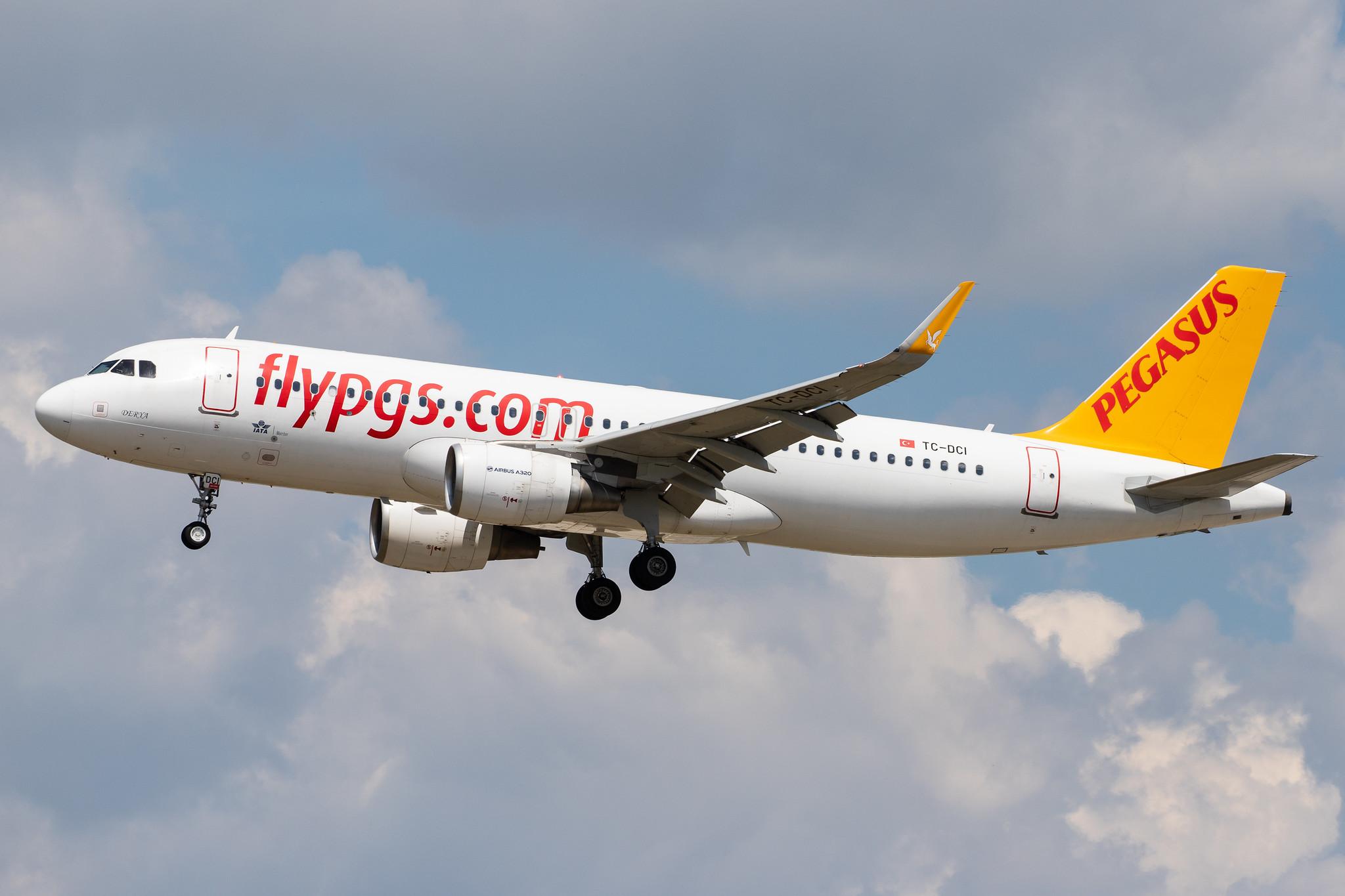 Frankfurt Airport: Pegasus Airlines (PC / PGT) |  Airbus A320-216 A320 | TC-DCI | MSN 6666