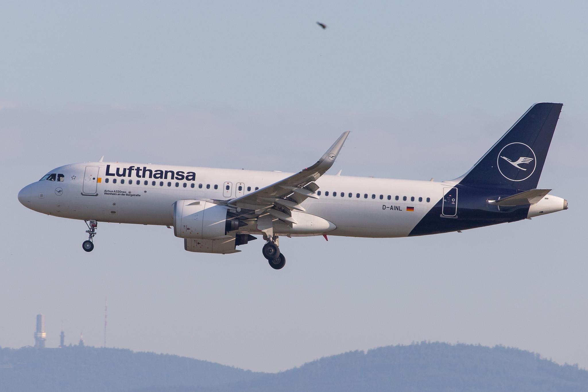 Frankfurt Airport: Lufthansa (LH / DLH) |  Airbus A320-271N A20N | D-AINL | MSN 8383