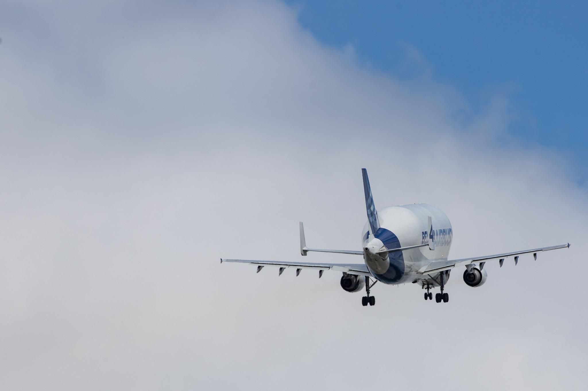 Hamburg Finkenwerder: Airbus Transport International (4Y / BGA) |  Airbus A300-608ST Beluga A3ST | F-GSTD | MSN 776