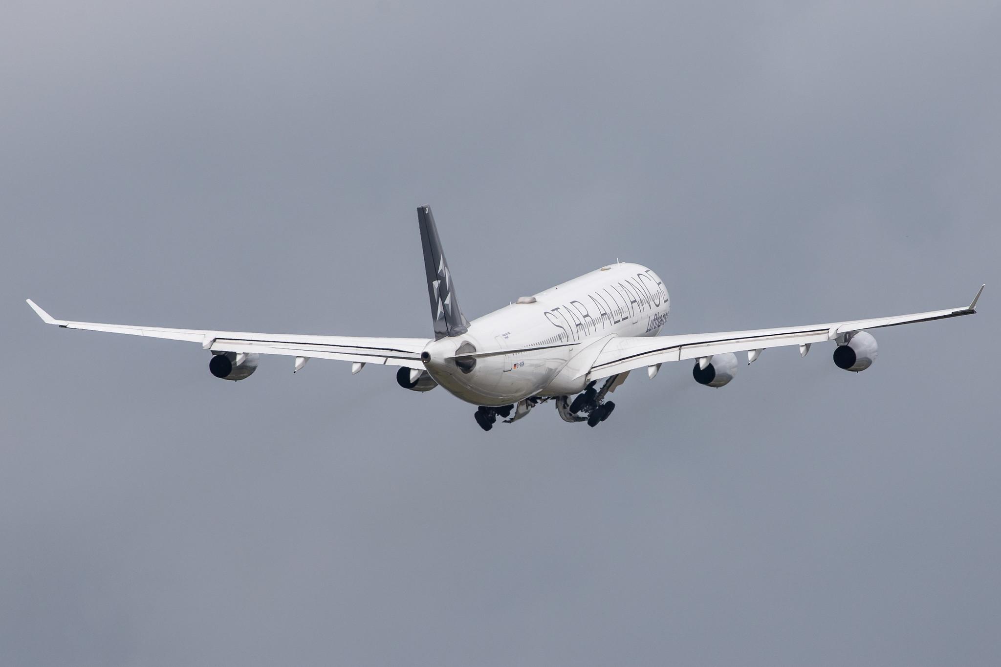 Hamburg Airport: Lufthansa (LH / DLH) |  Livery: Star Alliance Livery |  Airbus A340-313 A343 | D-AIGN | MSN 0213