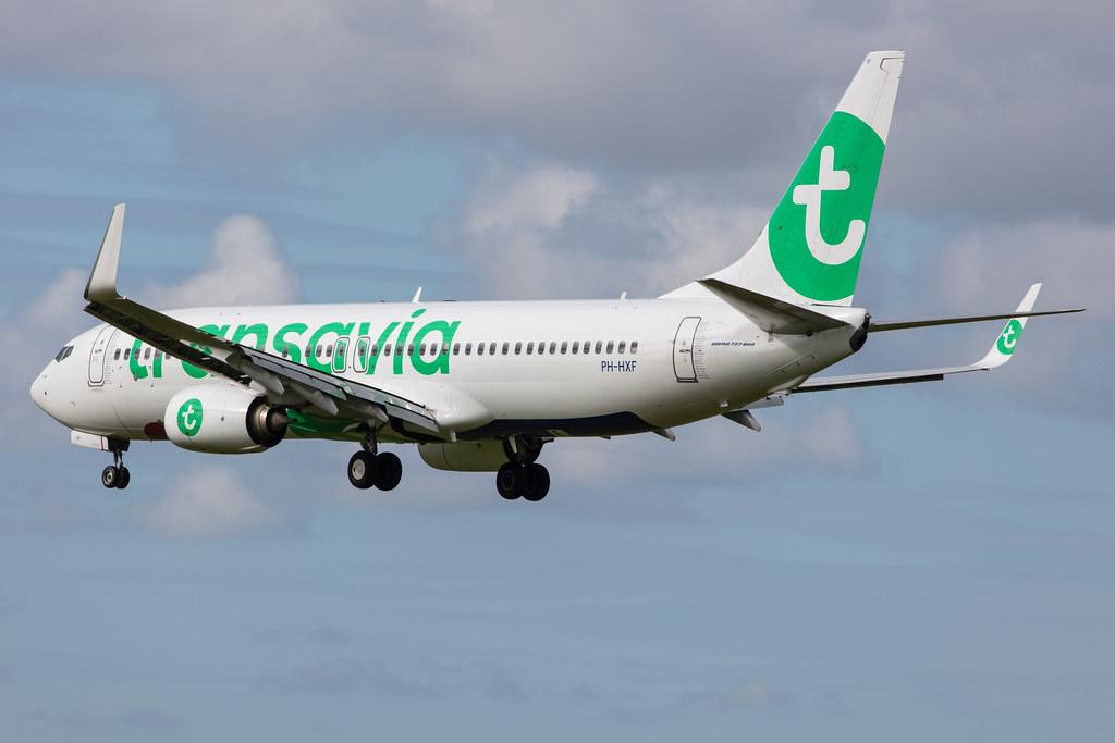 Amsterdam Airport Schiphol: Transavia (HV / TRA) |  Boeing 737-8K2 B738 | PH-HXF | MSN 62153