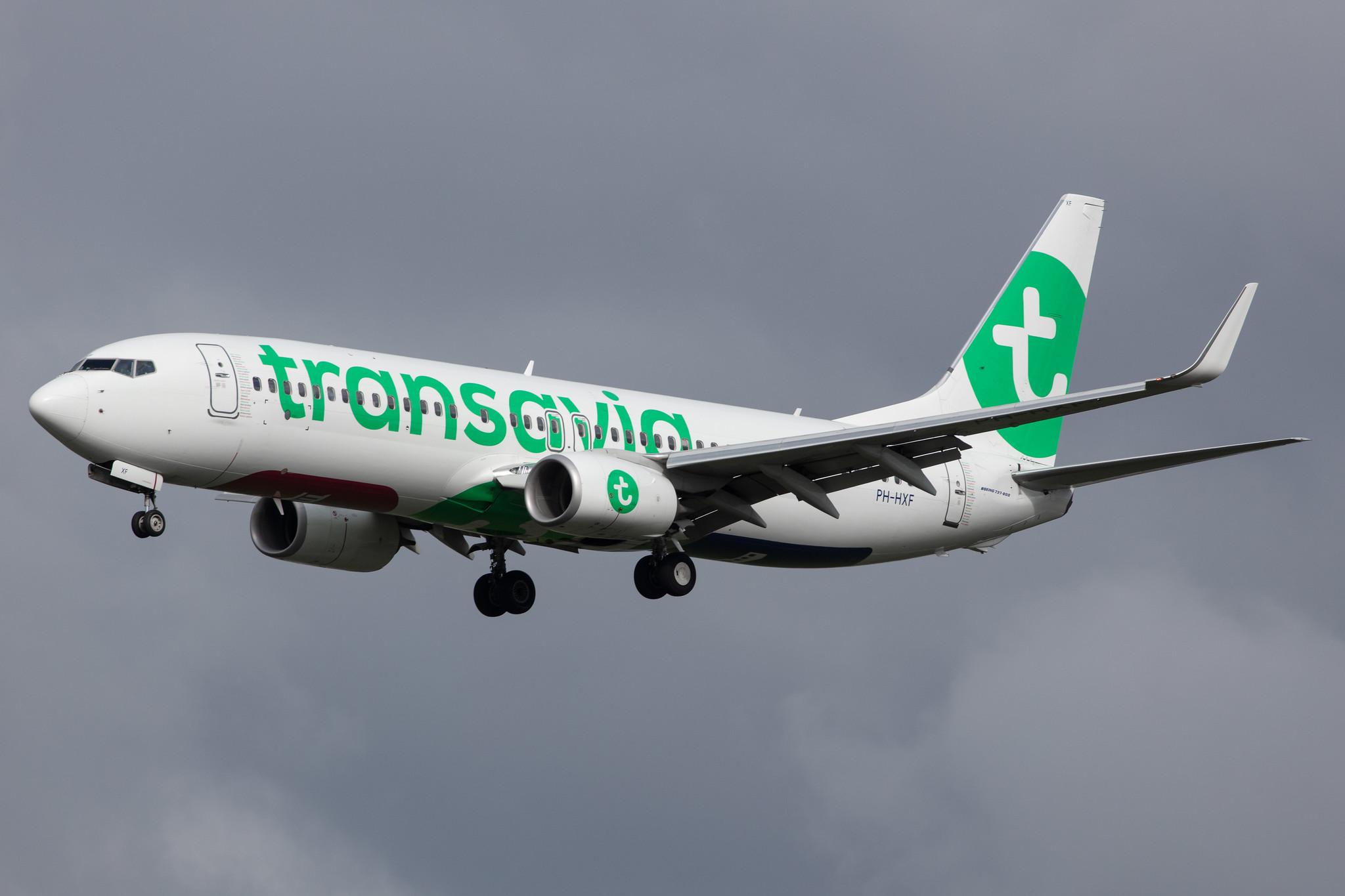 Amsterdam Airport Schiphol: Transavia (HV / TRA) |  Boeing 737-8K2 B738 | PH-HXF | MSN 62153