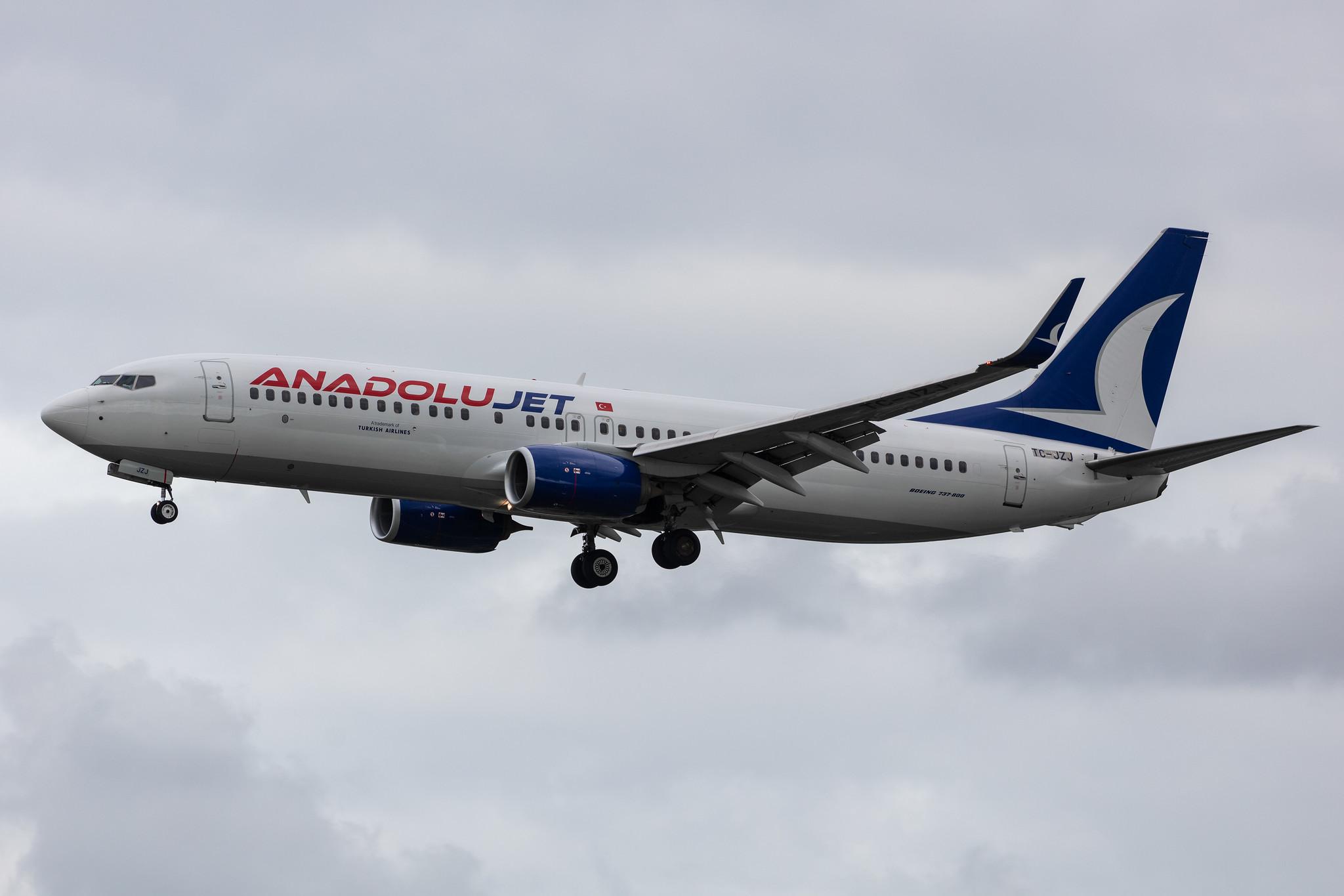 Amsterdam Airport Schiphol: AnadoluJet (TK / THY) | Operator: Turkish Airlines |  Boeing 737-8AS B738 | TC-JZJ | MSN 34995