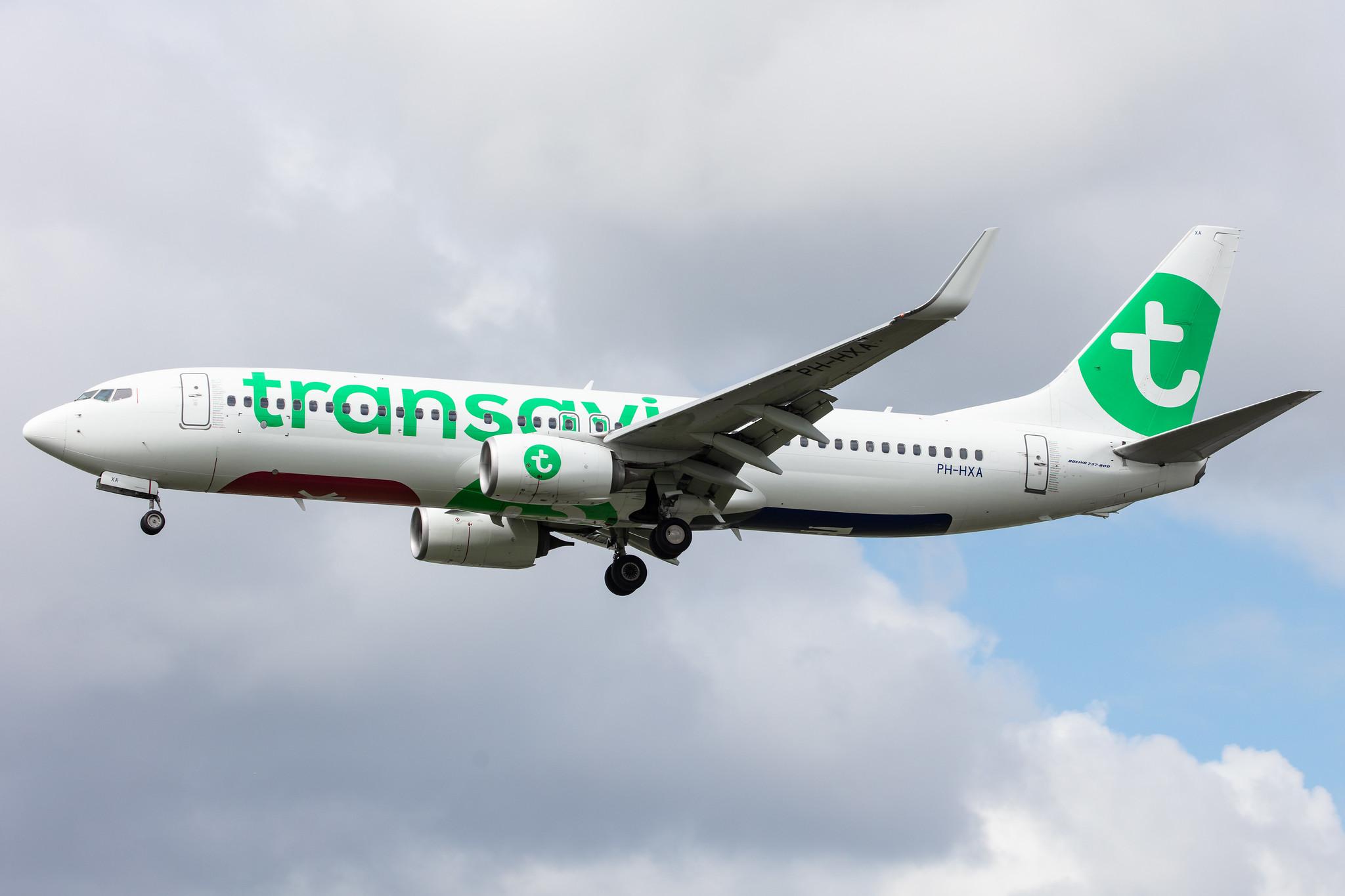Amsterdam Airport Schiphol: Transavia (HV / TRA) |  Boeing 737-8K2 B738 | PH-HXA | MSN 62149