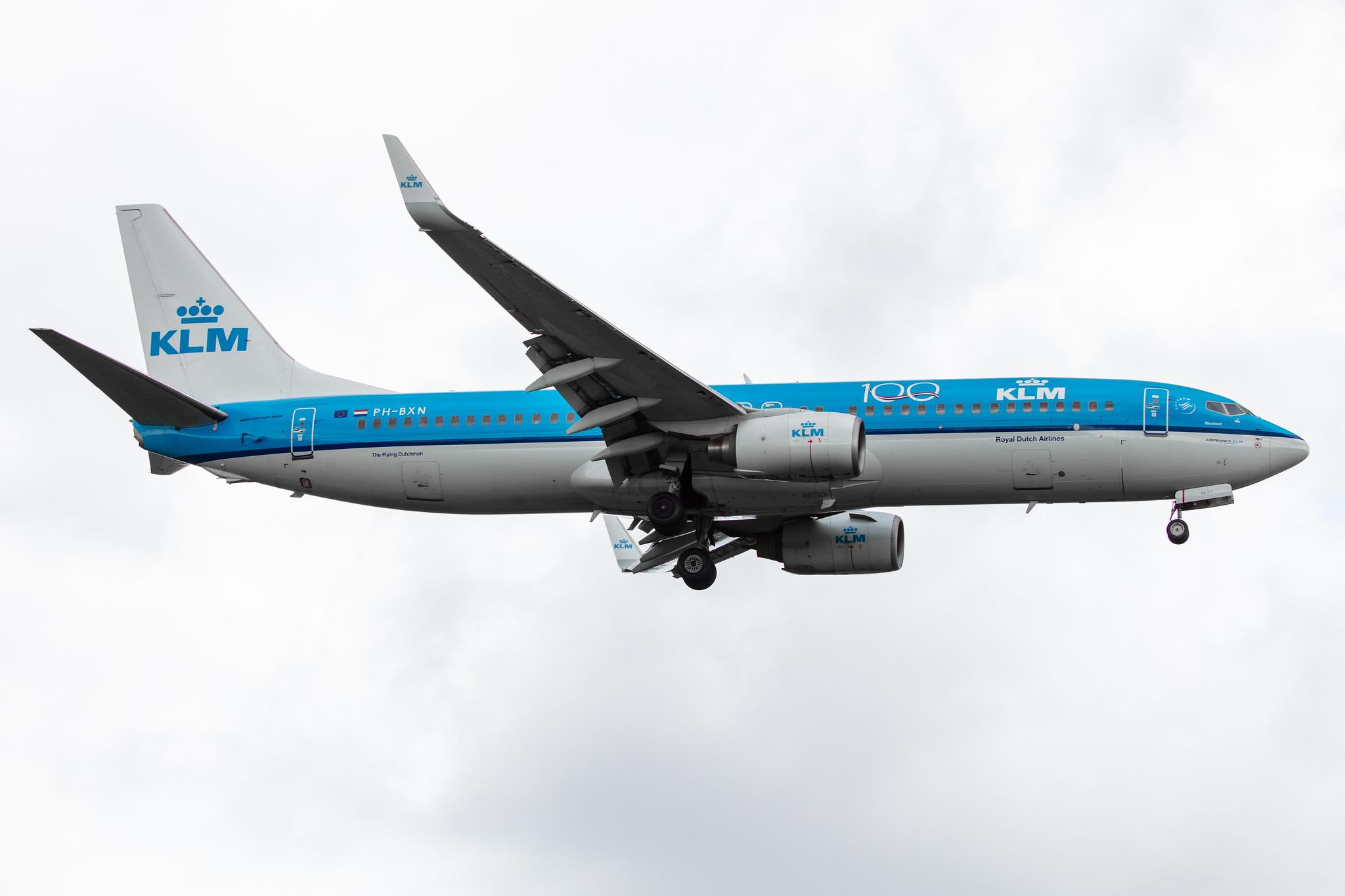 Amsterdam Airport Schiphol: KLM (KL / KLM) |  Boeing 737-8K2 B738 | PH-BXN | MSN 30356