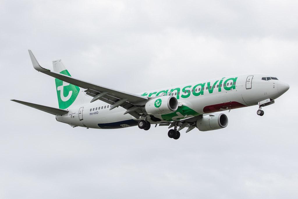 Amsterdam Airport Schiphol: Transavia (HV / TRA) |  Boeing 737-8K2 B738 | PH-HXD | MSN 61791