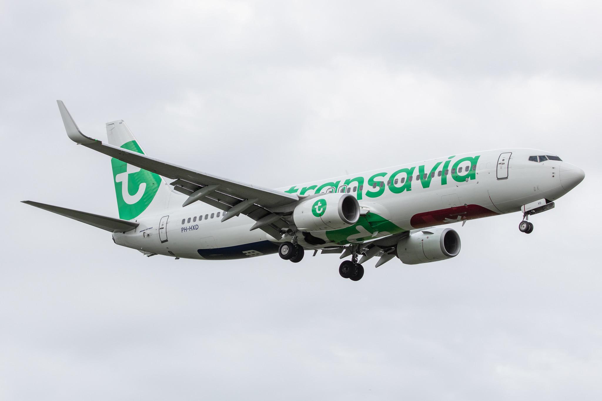 Amsterdam Airport Schiphol: Transavia (HV / TRA) |  Boeing 737-8K2 B738 | PH-HXD | MSN 61791