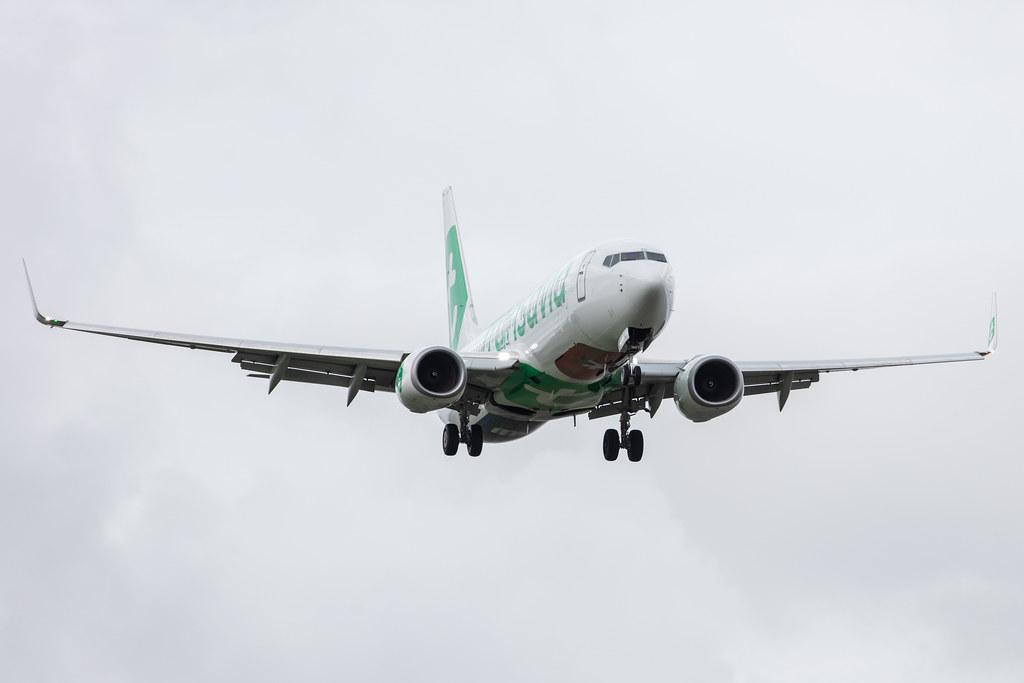 Amsterdam Airport Schiphol: Transavia (HV / TRA) |  Boeing 737-8K2 B738 | PH-HXD | MSN 61791