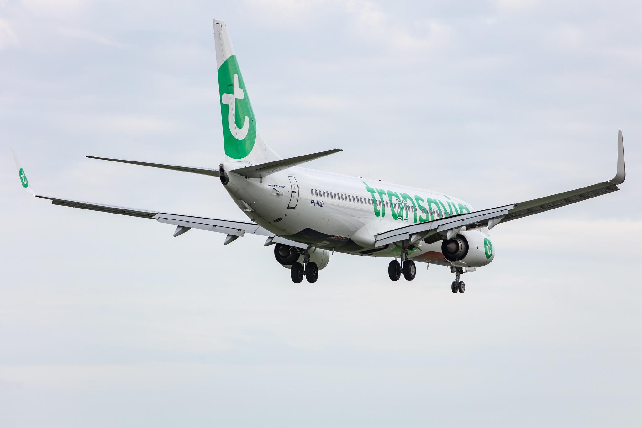 Amsterdam Airport Schiphol: Transavia (HV / TRA) |  Boeing 737-8K2 B738 | PH-HXD | MSN 61791