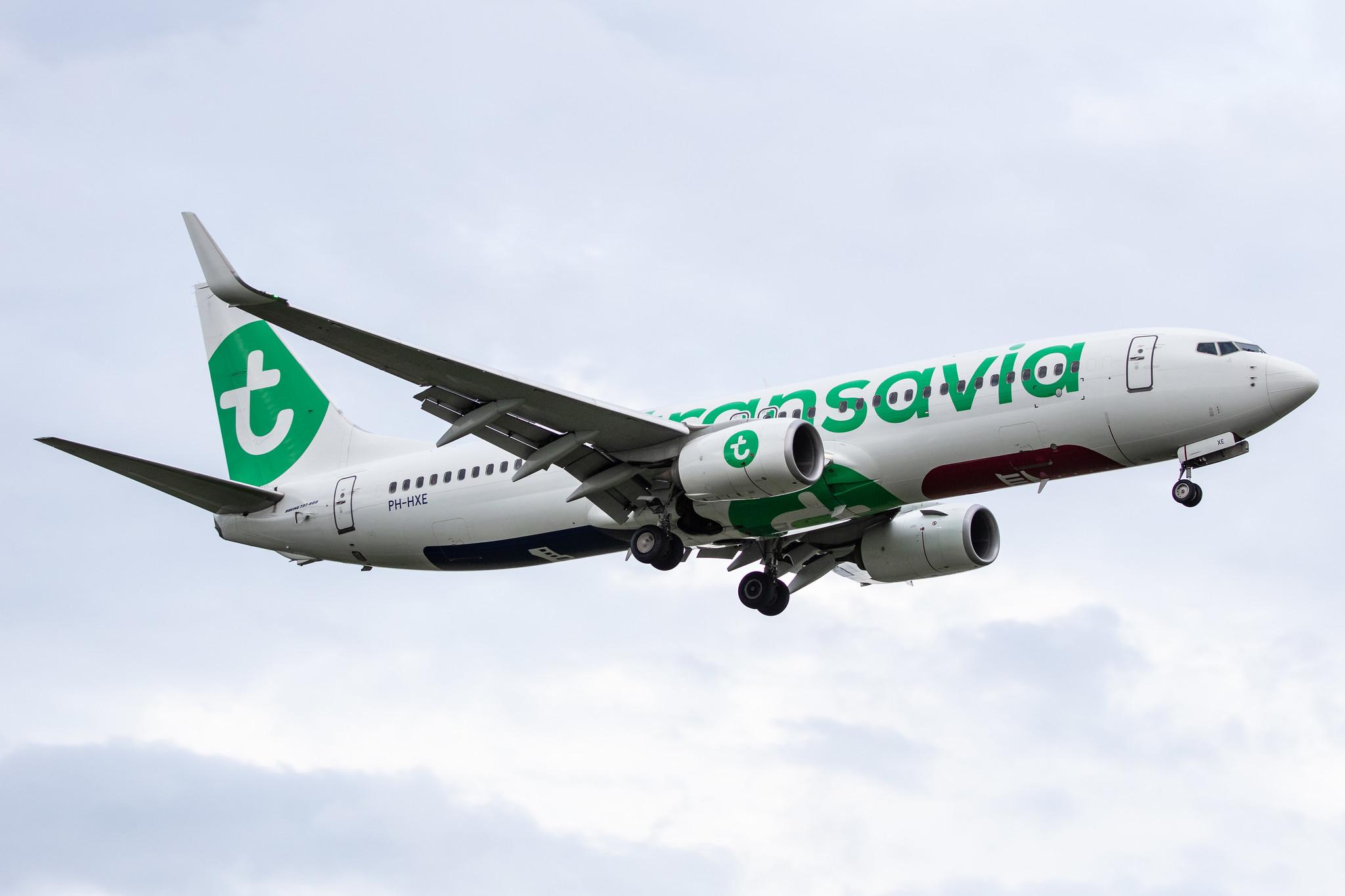 Amsterdam Airport Schiphol: Transavia (HV / TRA) |  Boeing 737-8K2 B738 | PH-HXE | MSN 61790