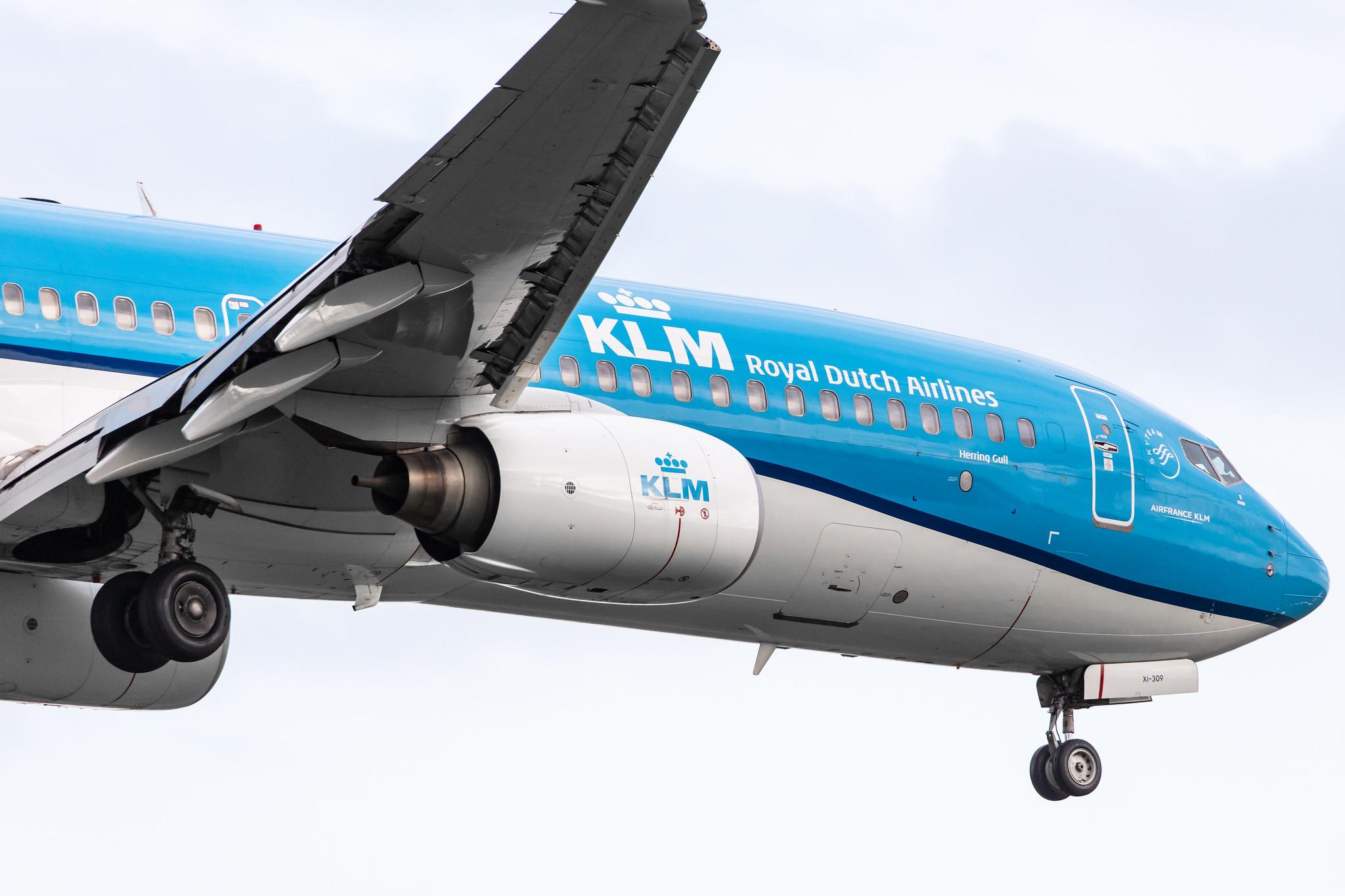 Amsterdam Airport Schiphol: KLM (KL / KLM) |  Boeing 737-8K2 B738 | PH-BXI | MSN 30358