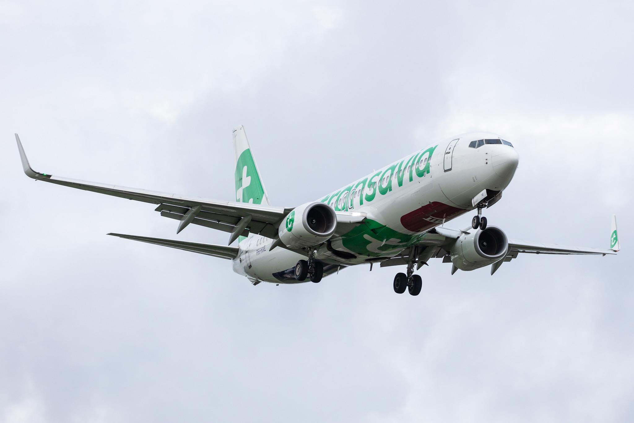 Amsterdam Airport Schiphol: Transavia (HV / TRA) |  Boeing 737-8K2 B738 | PH-HXE | MSN 61790
