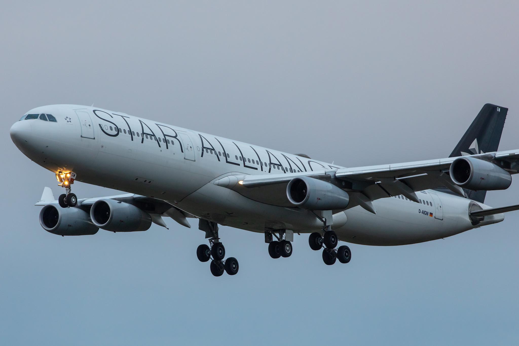 Frankfurt Airport: Lufthansa (LH / DLH) |  Livery: Star Alliance Livery |  Airbus A340-313 A343 | D-AIGW | MSN 0327