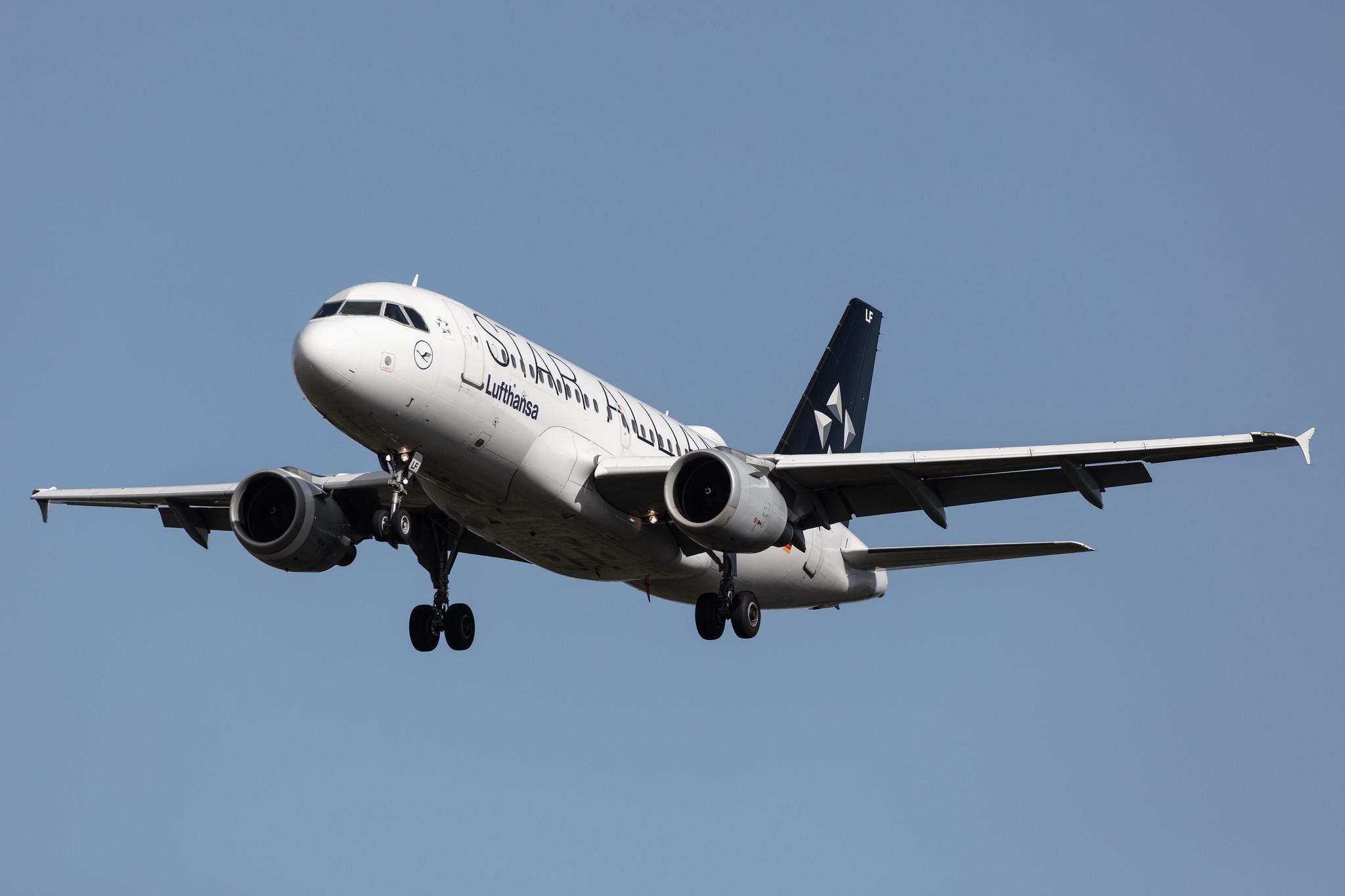 Frankfurt Airport: Lufthansa (LH / DLH) |  Livery: Star Alliance Livery |  Airbus A319-114 A319 | D-AILF | MSN 0636