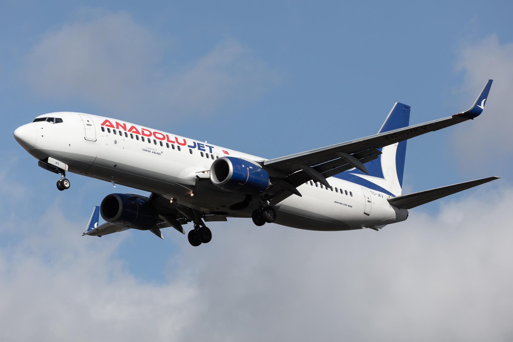 Frankfurt Airport: AnadoluJet (TK / THY) | Operator: SunExpress |  Boeing 737-8Q8 B738 | TC-JKV | MSN 41808
