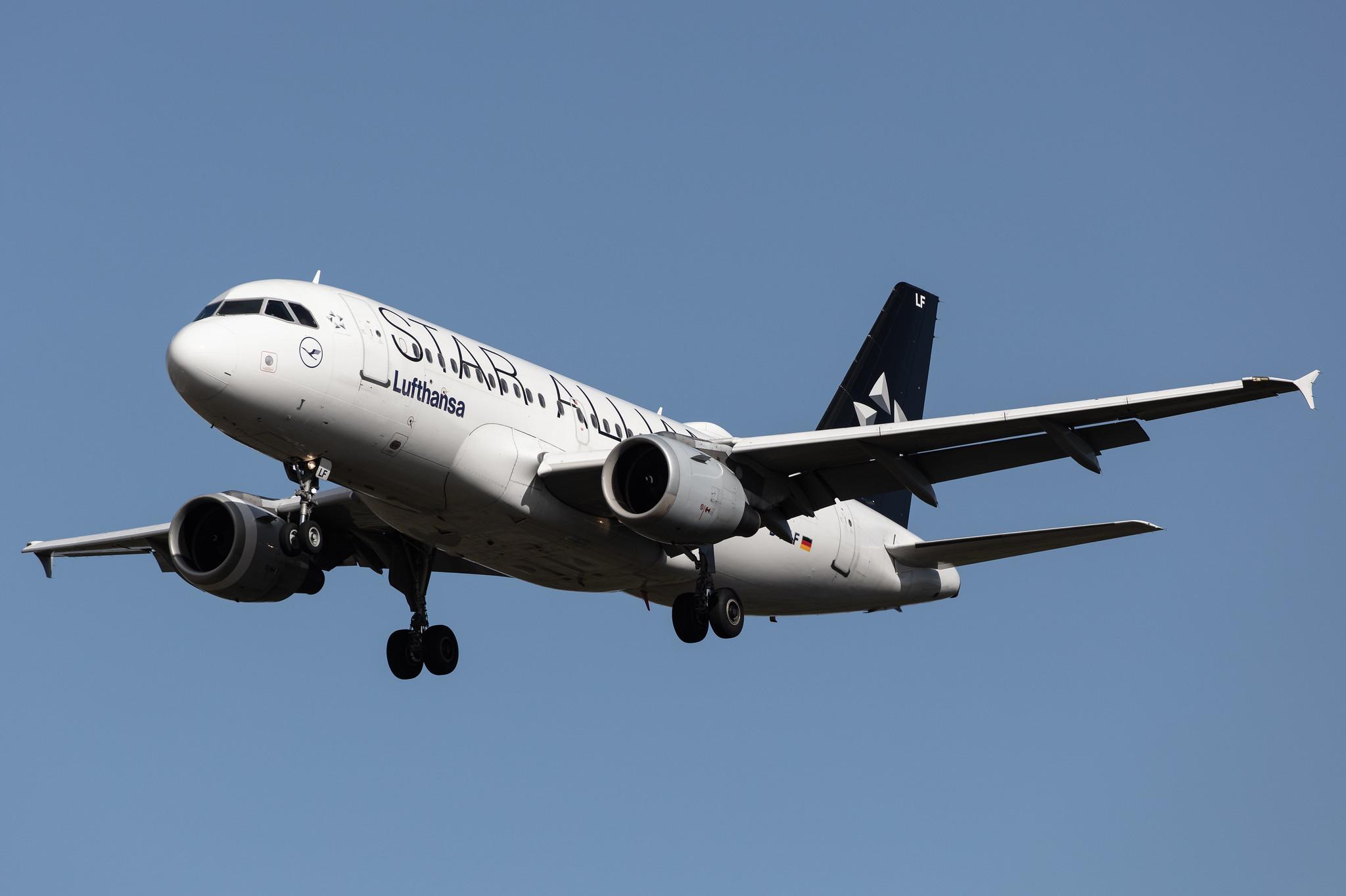 Frankfurt Airport: Lufthansa (LH / DLH) |  Livery: Star Alliance Livery |  Airbus A319-114 A319 | D-AILF | MSN 0636