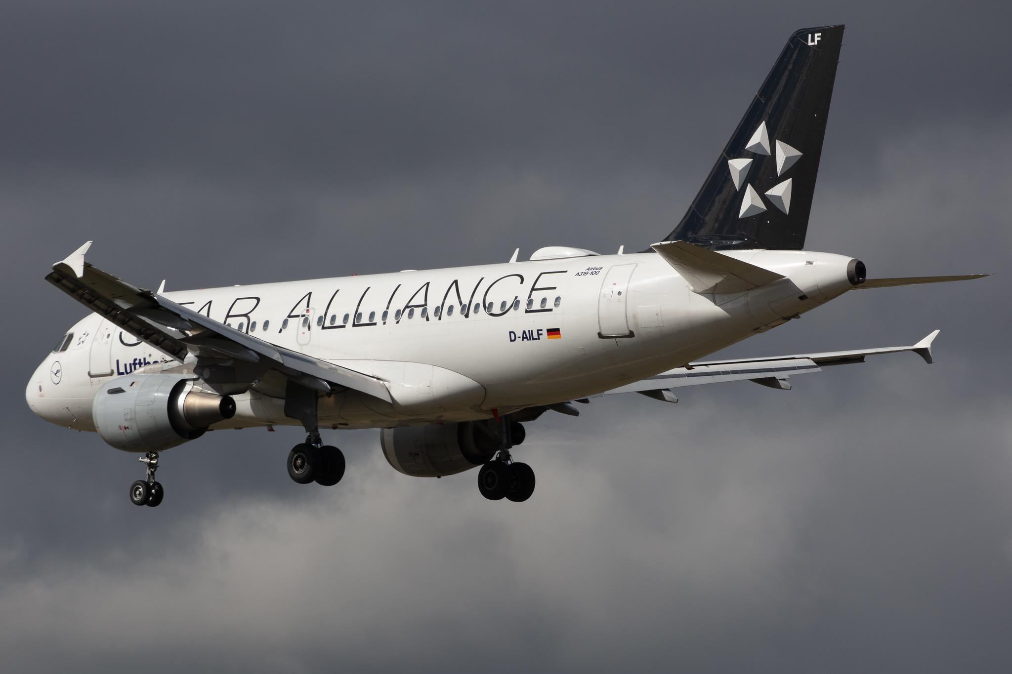 Frankfurt Airport: Lufthansa (LH / DLH) |  Livery: Star Alliance Livery |  Airbus A319-114 A319 | D-AILF | MSN 0636